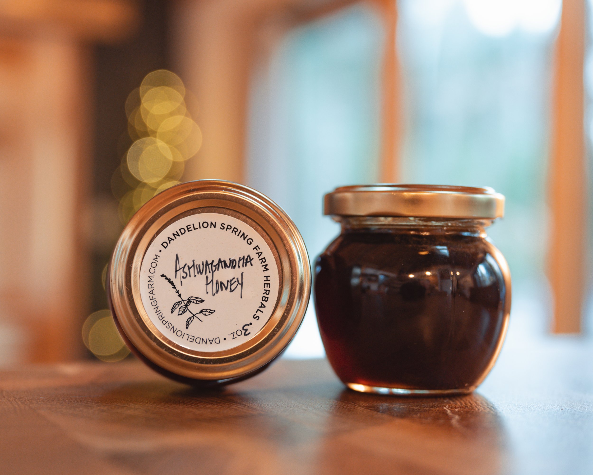 DandelionSpringWinter-54.jpg