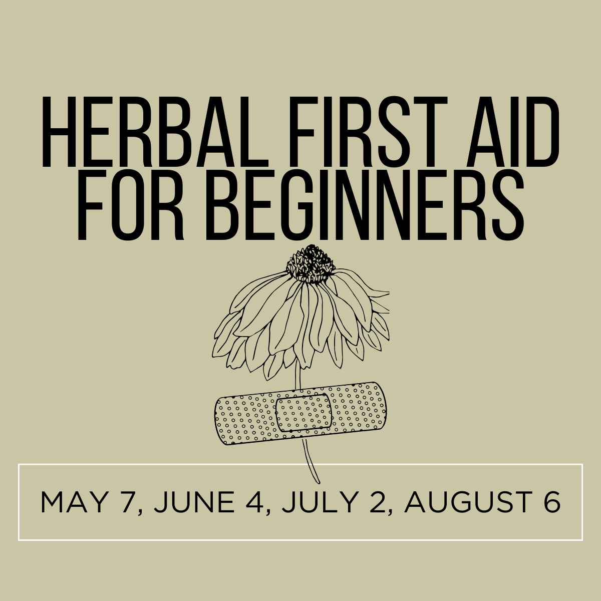 Herbal First Aid for Beginners
