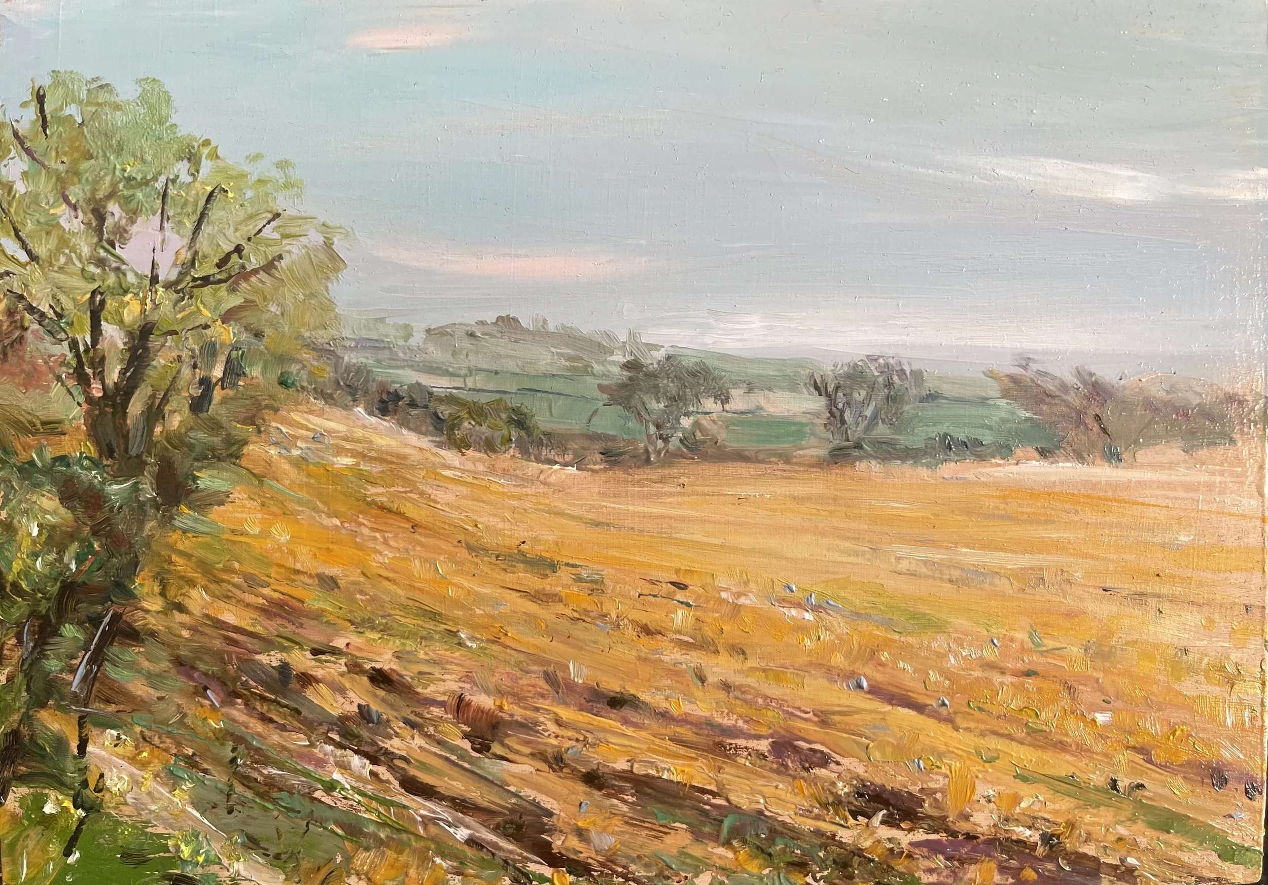 Golden Haze, 23.08.2022, Oils, Wooden Panel (15cm X 21cm)