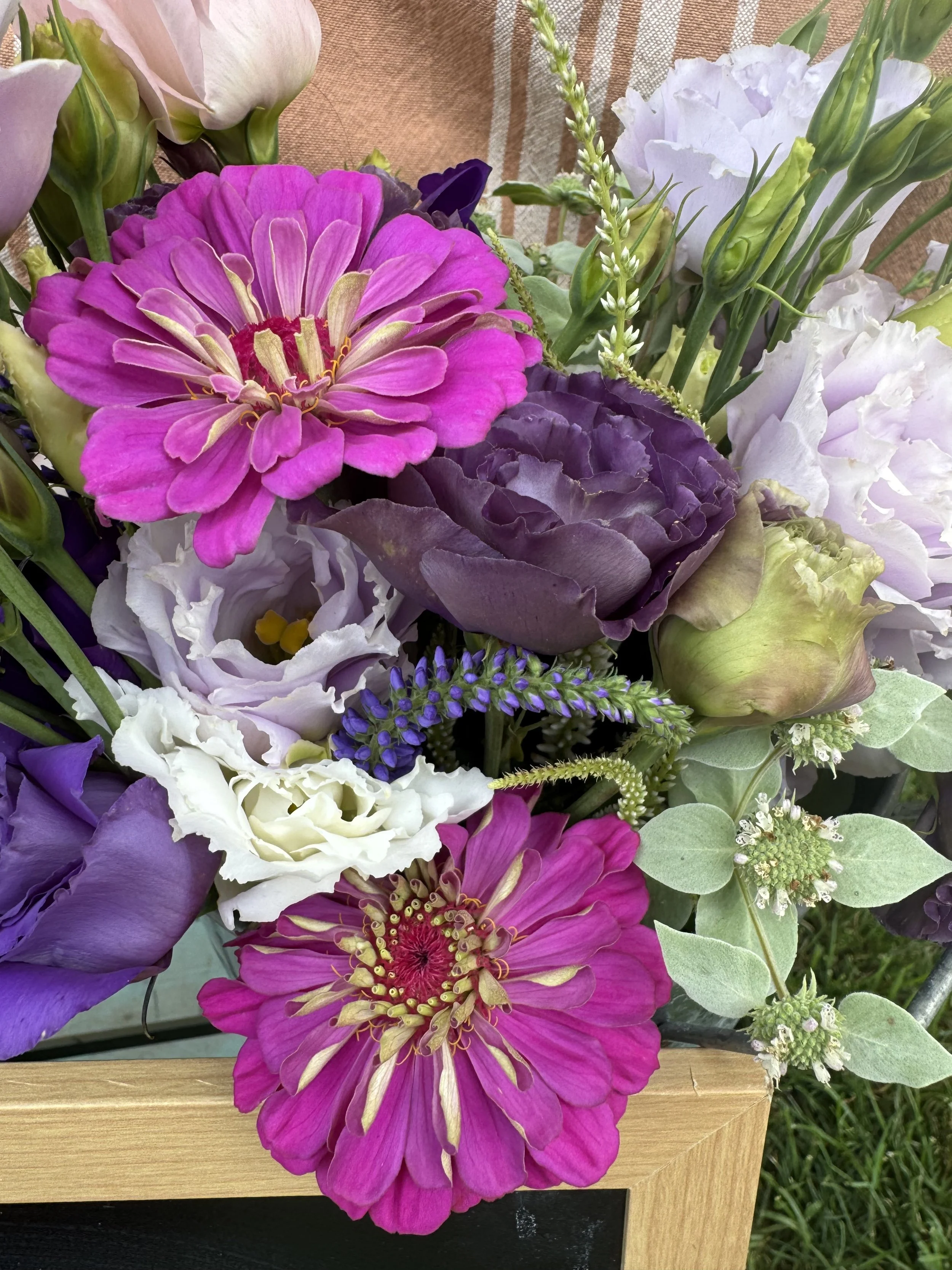 Hummingbird Bloom Subscription