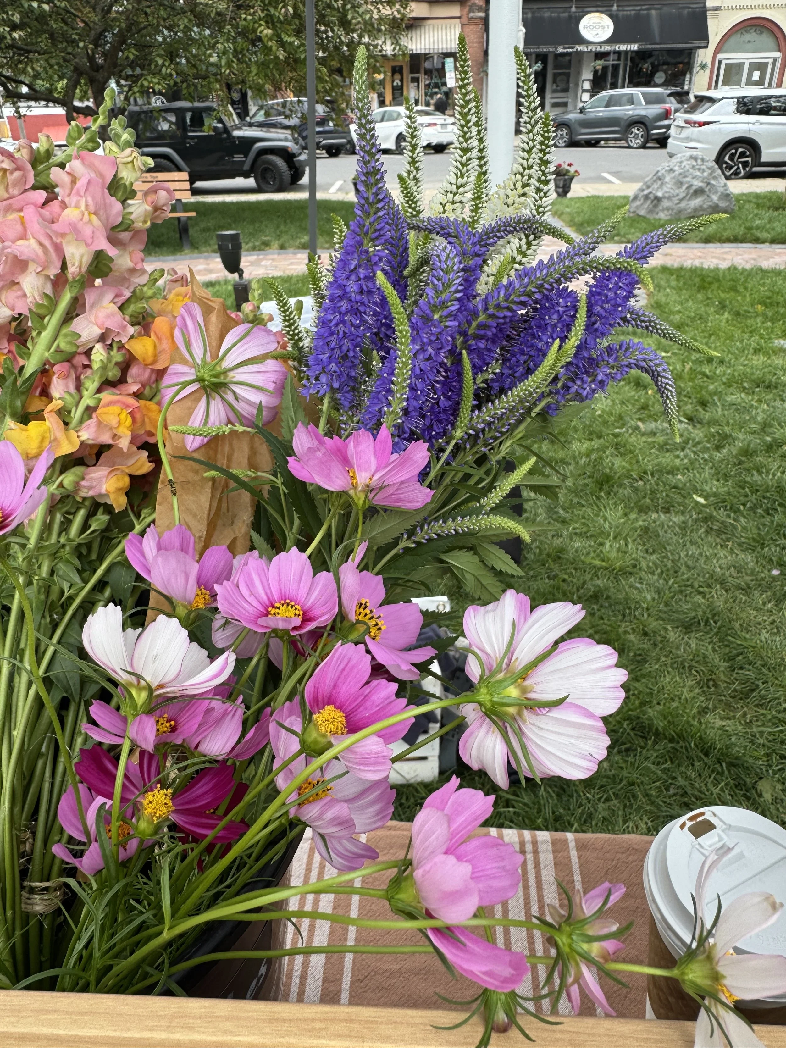 Bloom Bucket