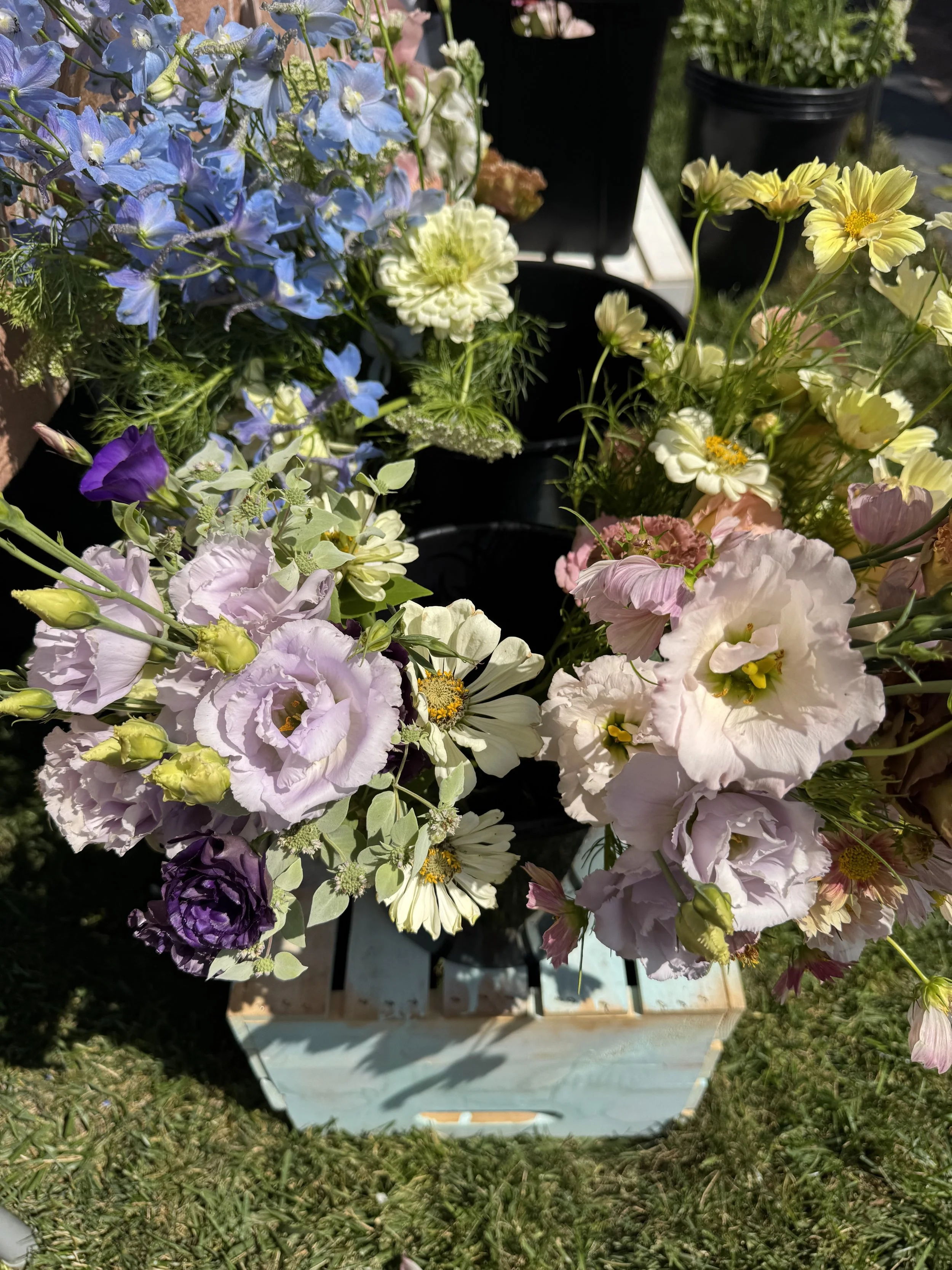 Mad Blooms Full Season CSA Subscription