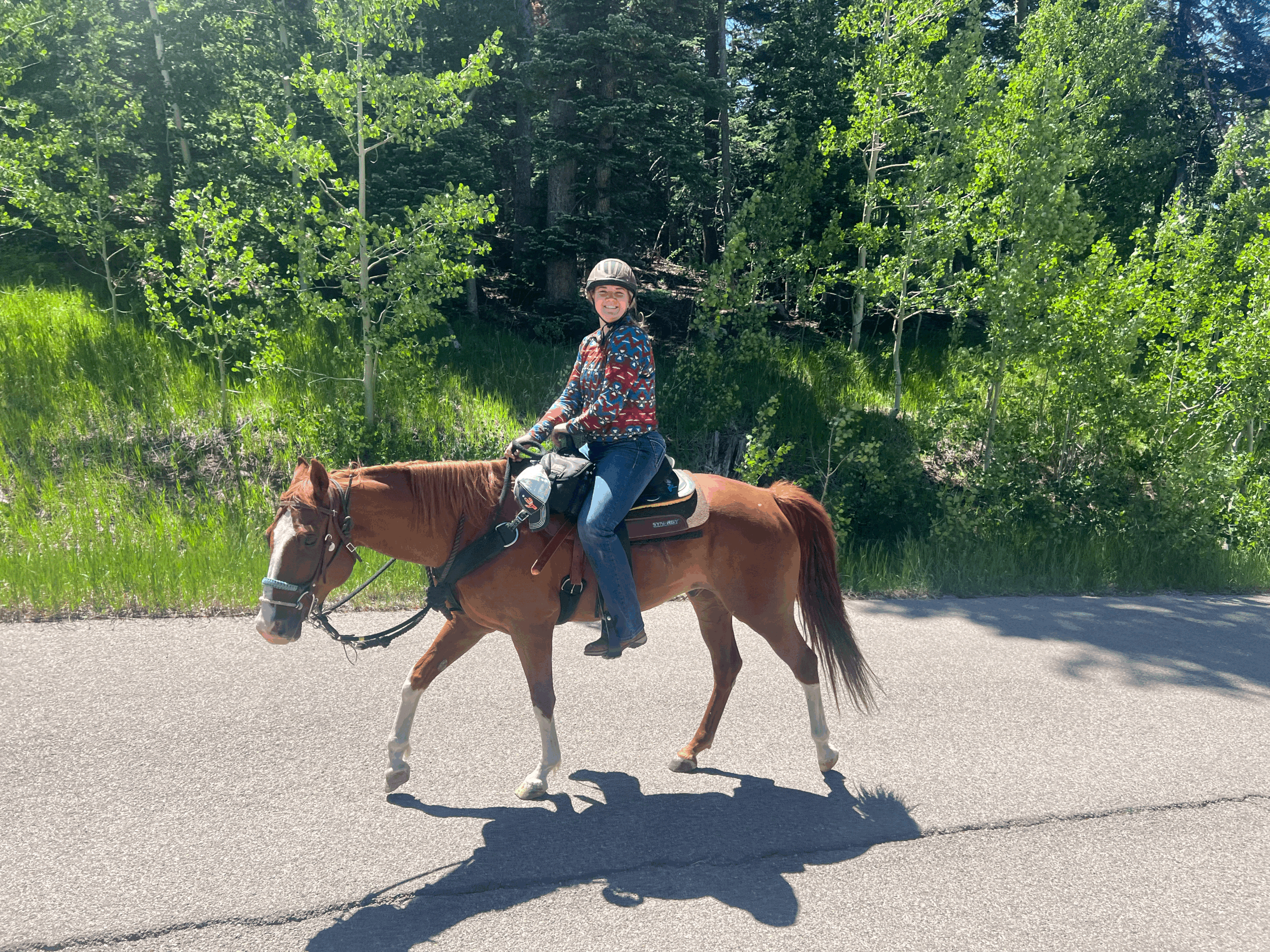 Why Women Are Talking About Horses: The Science Behind Riding and Well-Being