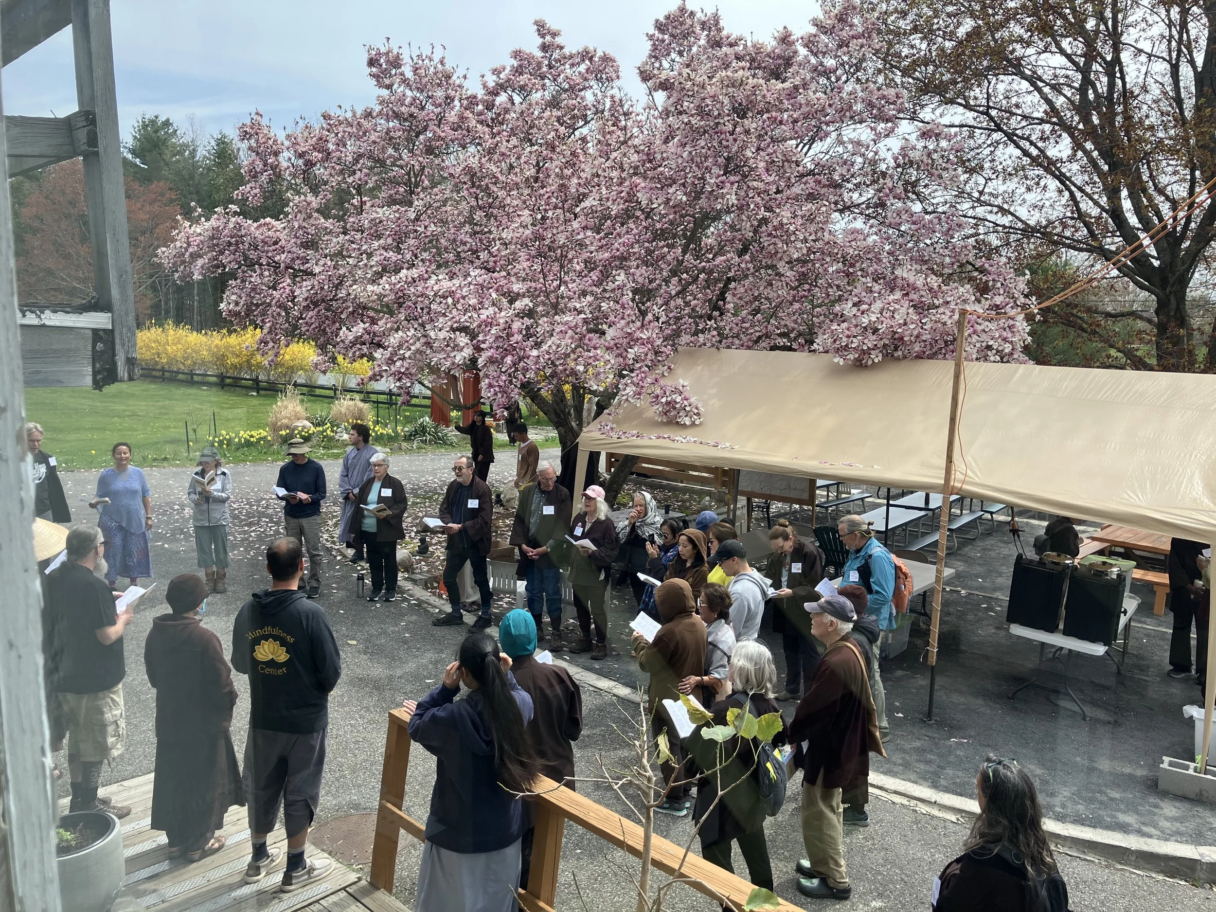 Singing together before walking meditation at Blue Cliff Monastery.