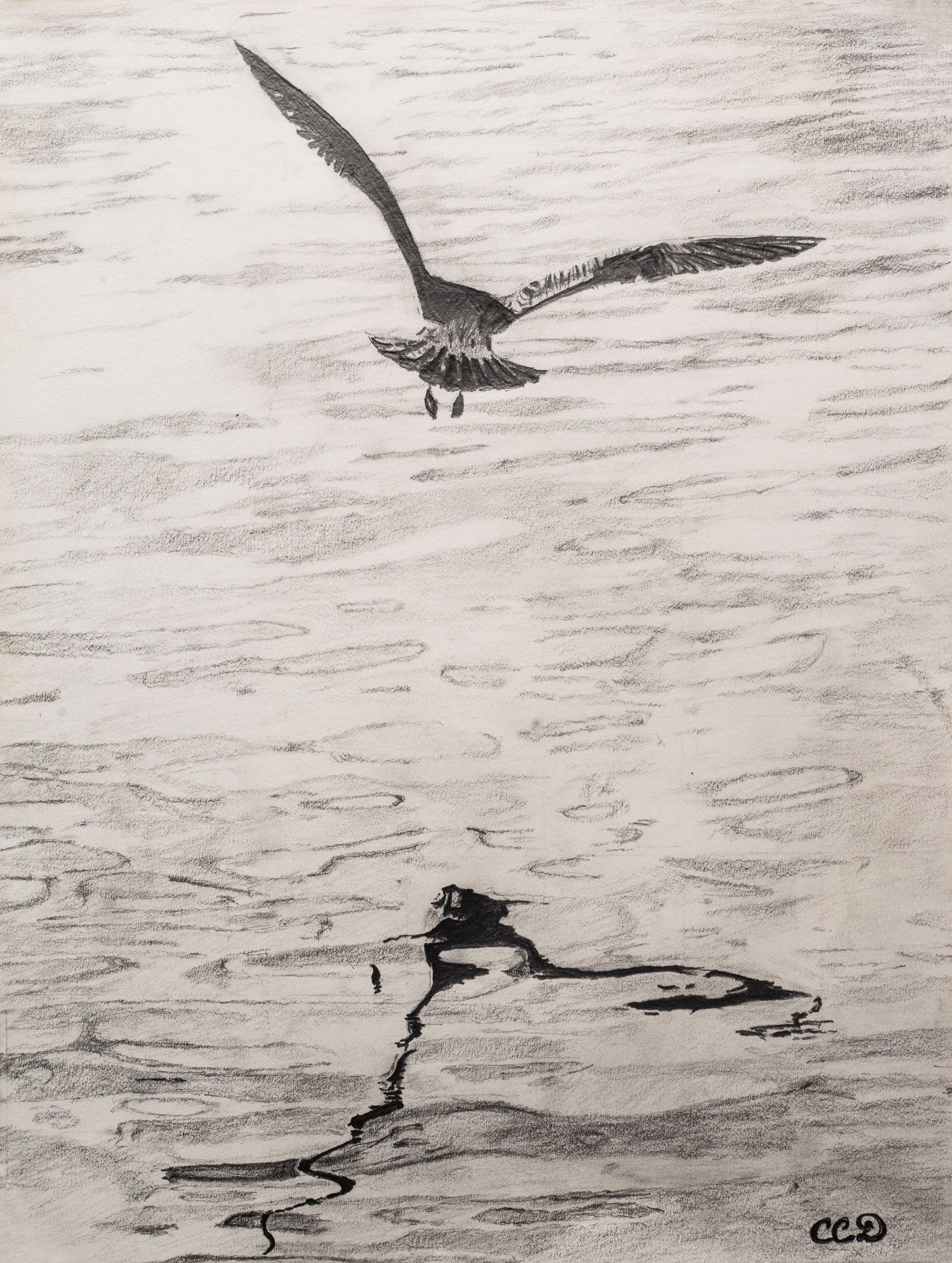 Hand_Drawn_Sketch_of_Gull_Over_the_Harbour.jpg