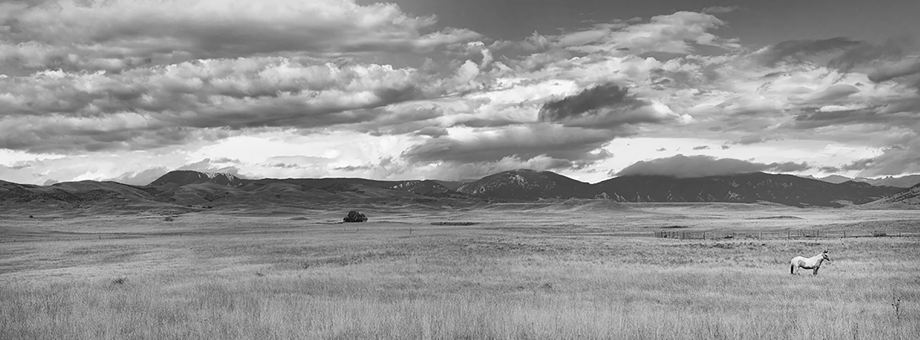 Horse and mountains.jpg