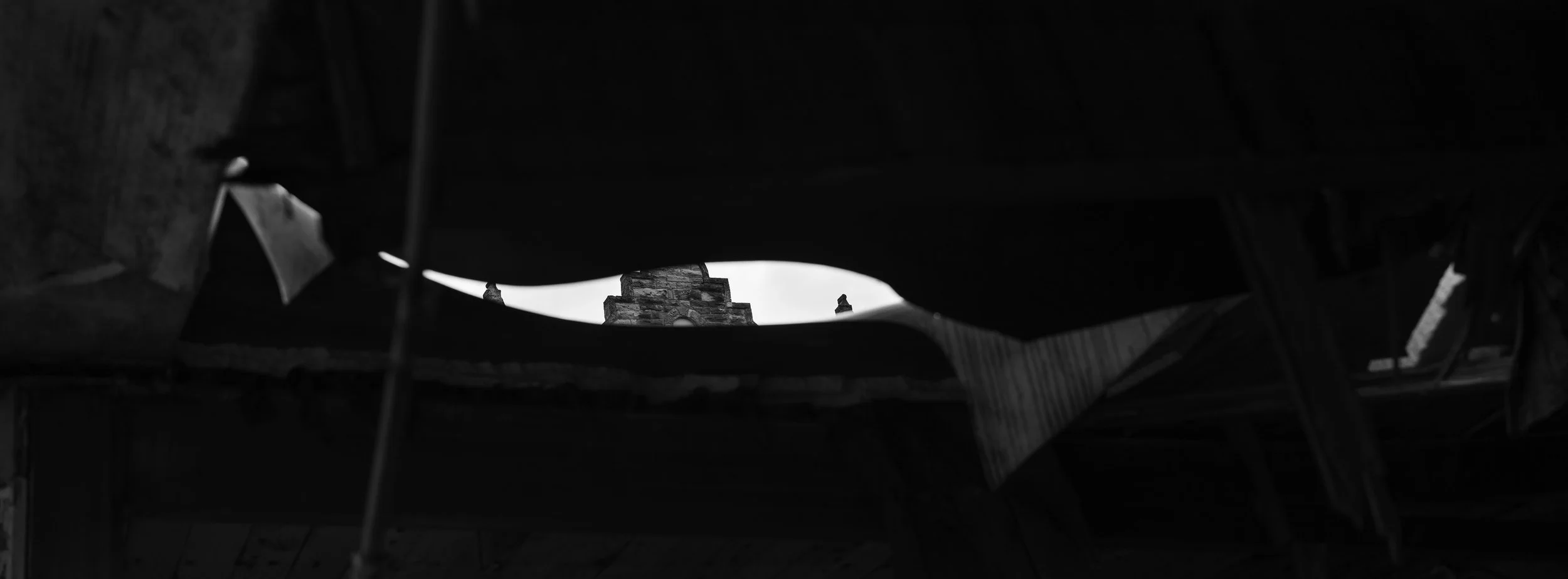 56478.jpg