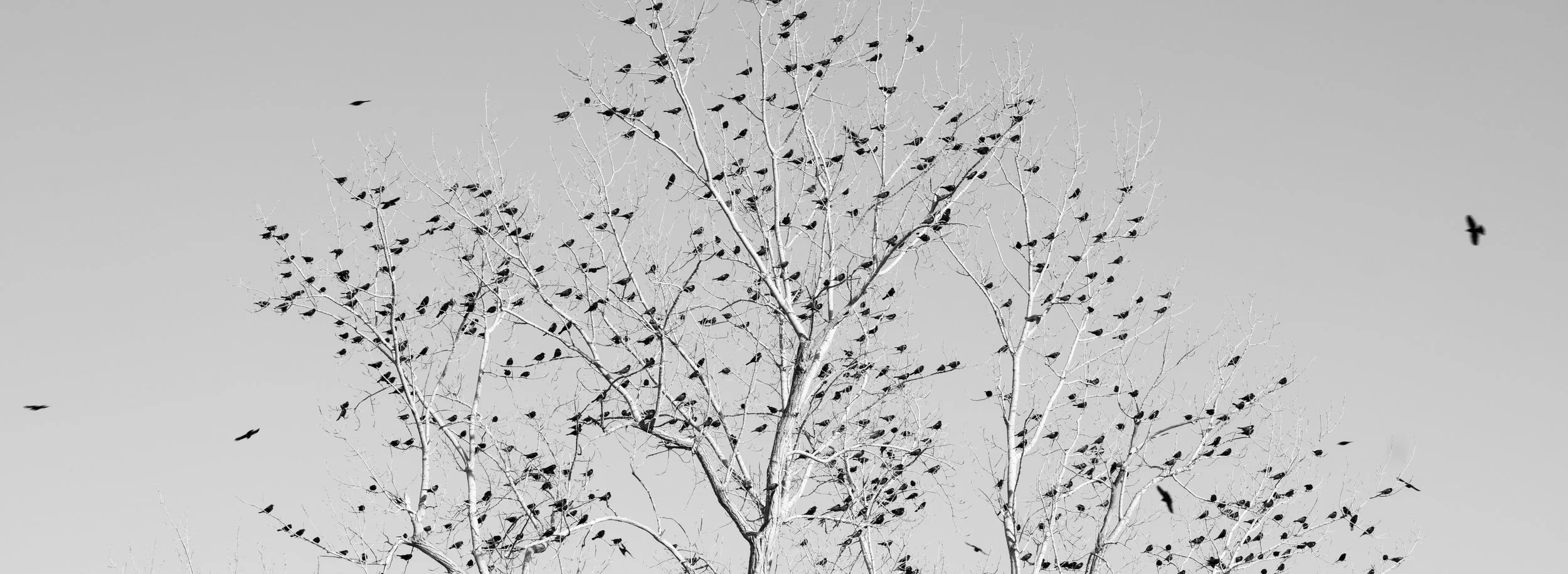 Screenshot 2026-02-06 at 10.30.48 AM.jpg