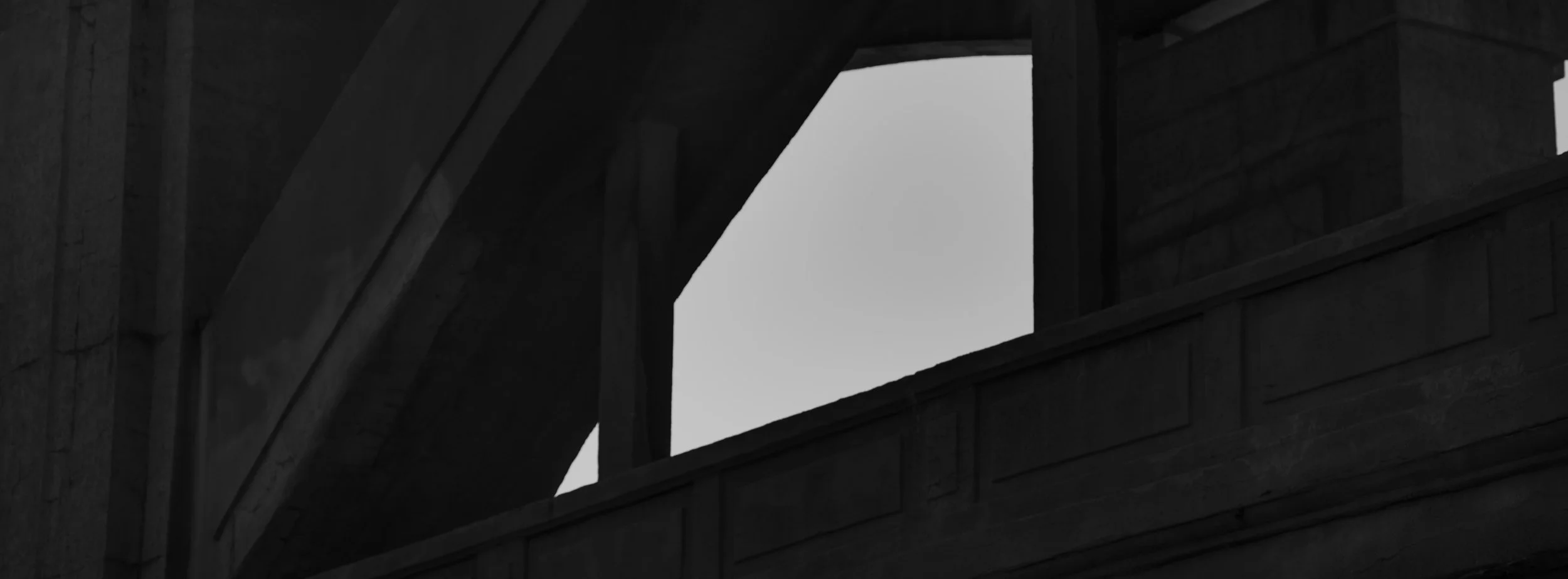 55175.jpg