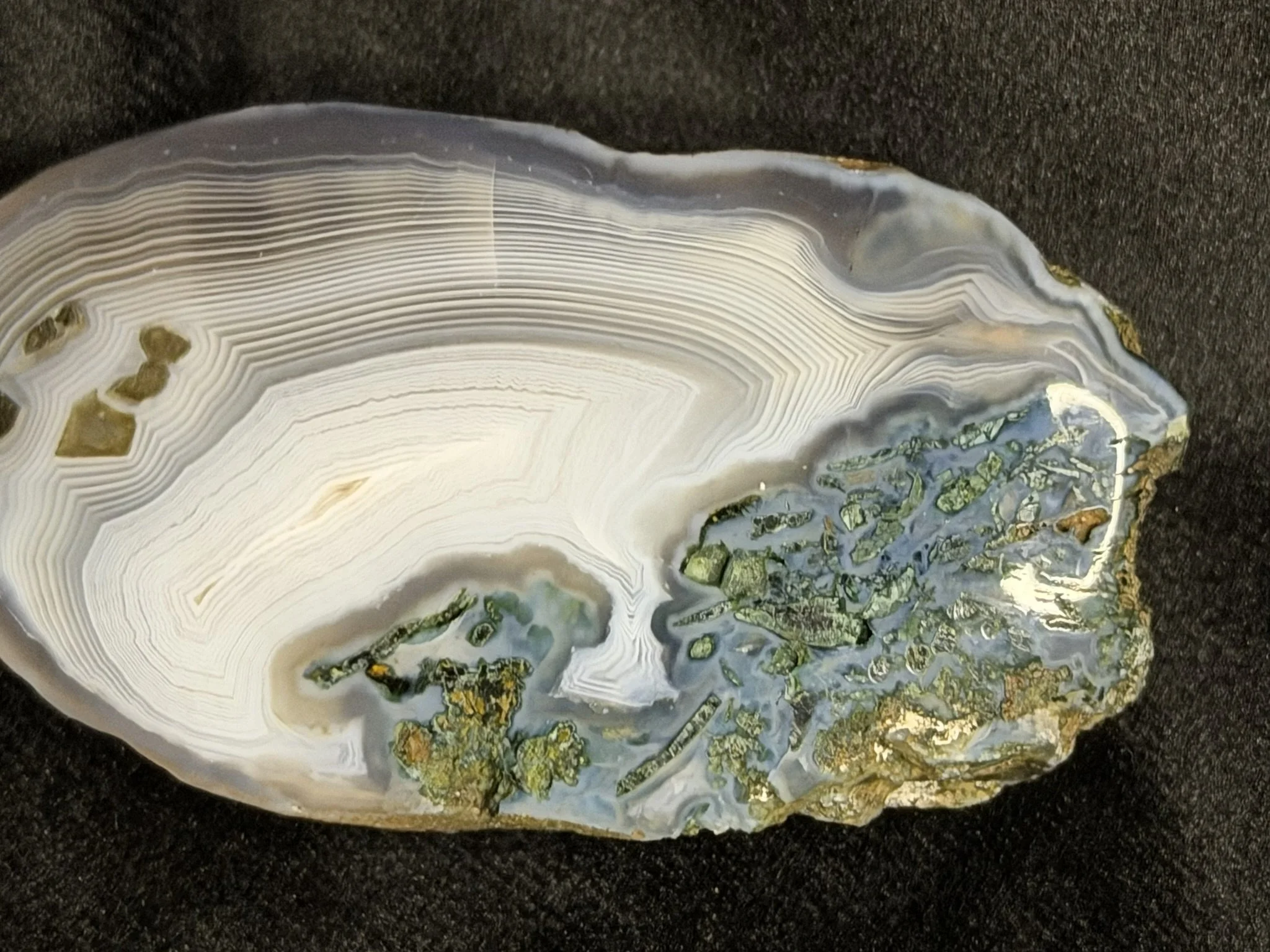 Polished Fortification Agate – Ultra-Fine Banding & Mineral Inclusions – 2.8 oz