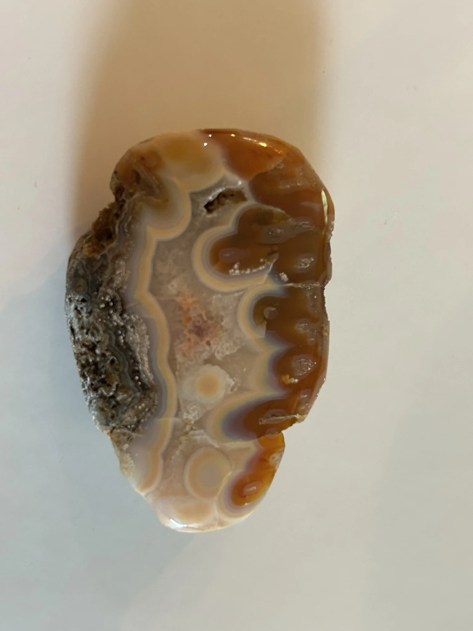 Polished Orbicular Eye Agate – Fortification Banding & Chalcedony – 1.2 oz