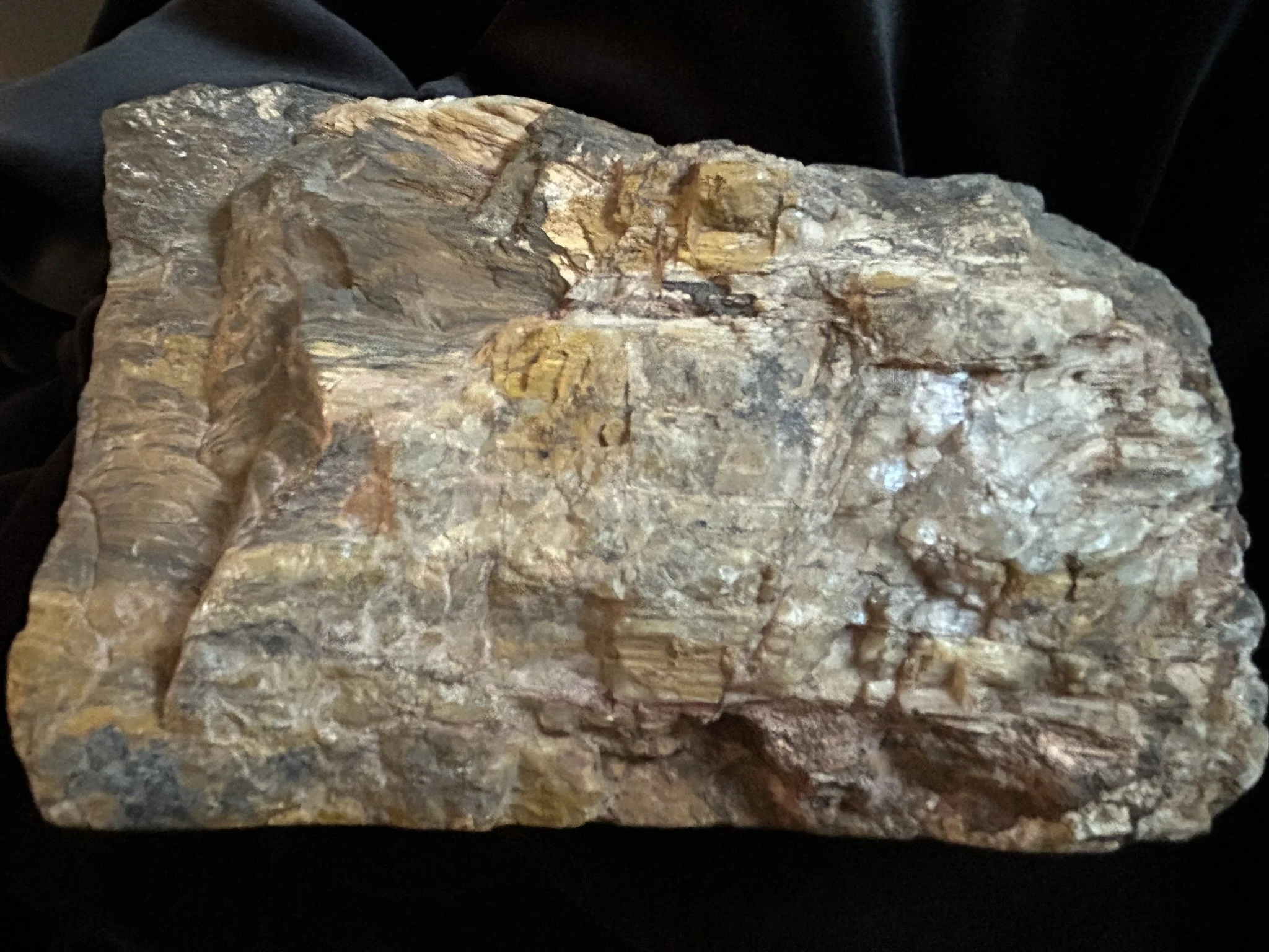 IMG_7444.JPEG