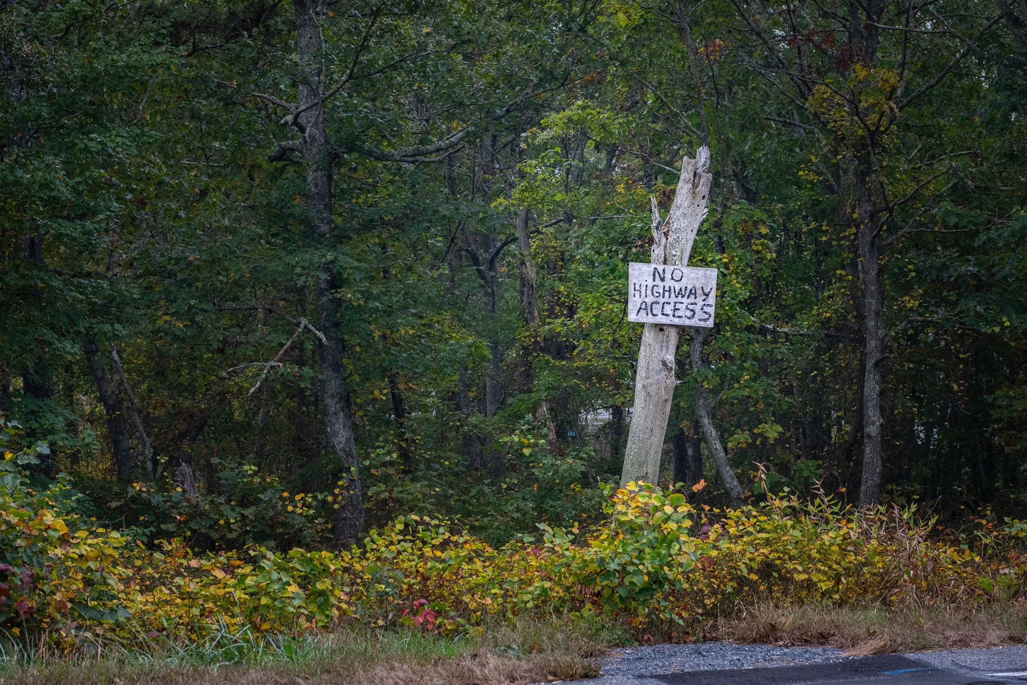 McClureJ_-12.jpg
