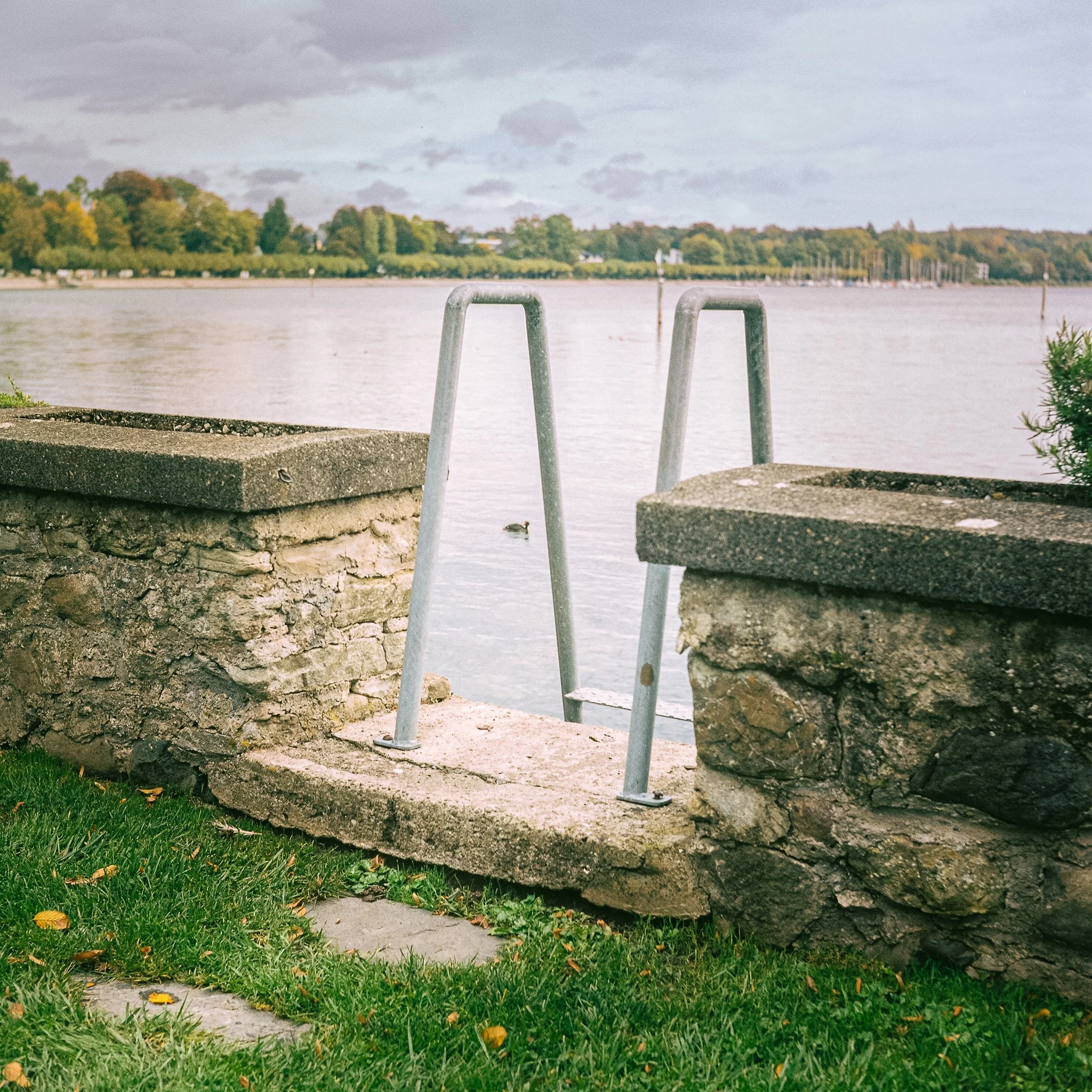 McClureJ_Leiter Ins Wasser.jpg