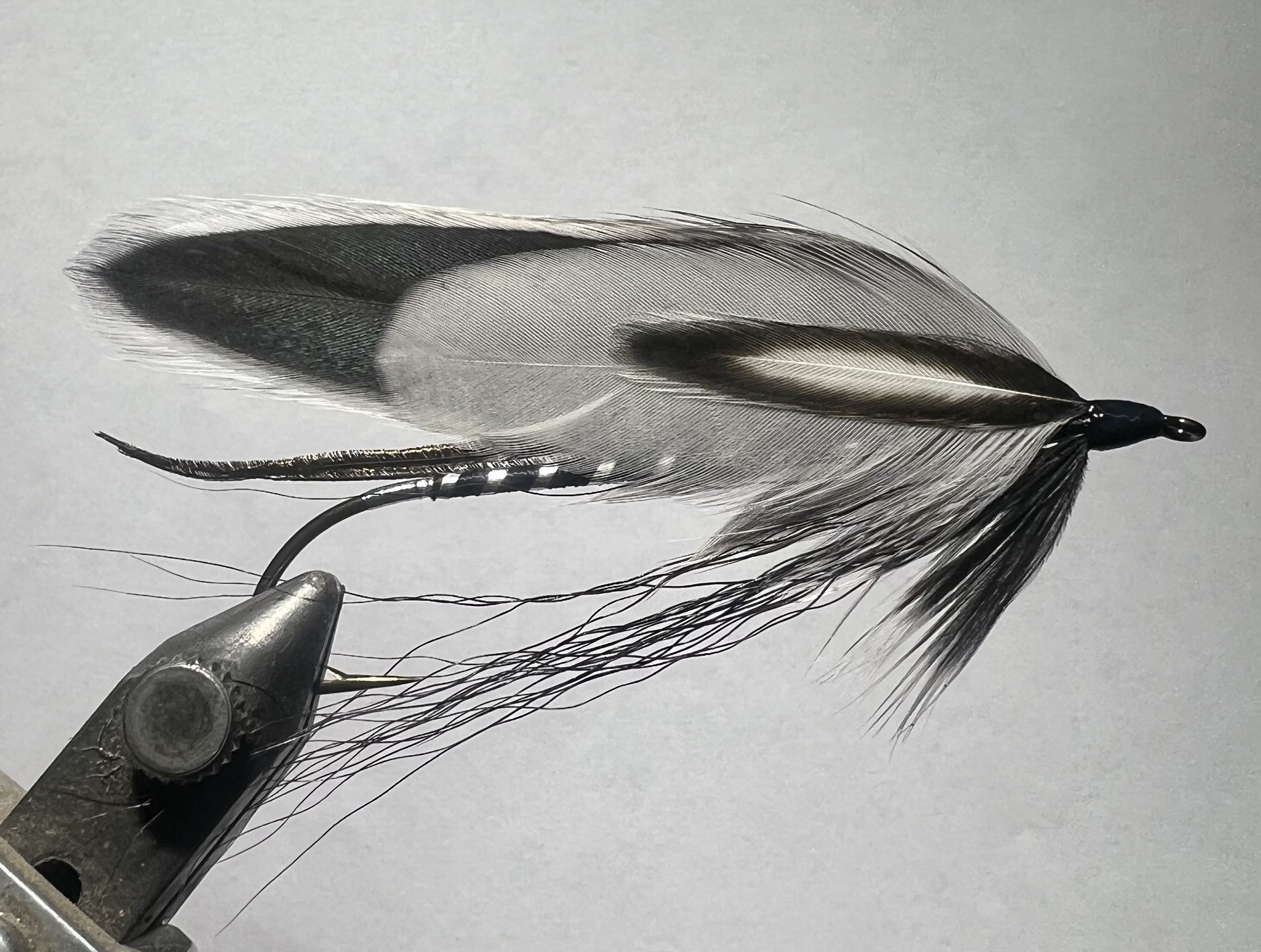 close-up of a fishing fly with feathers and hook