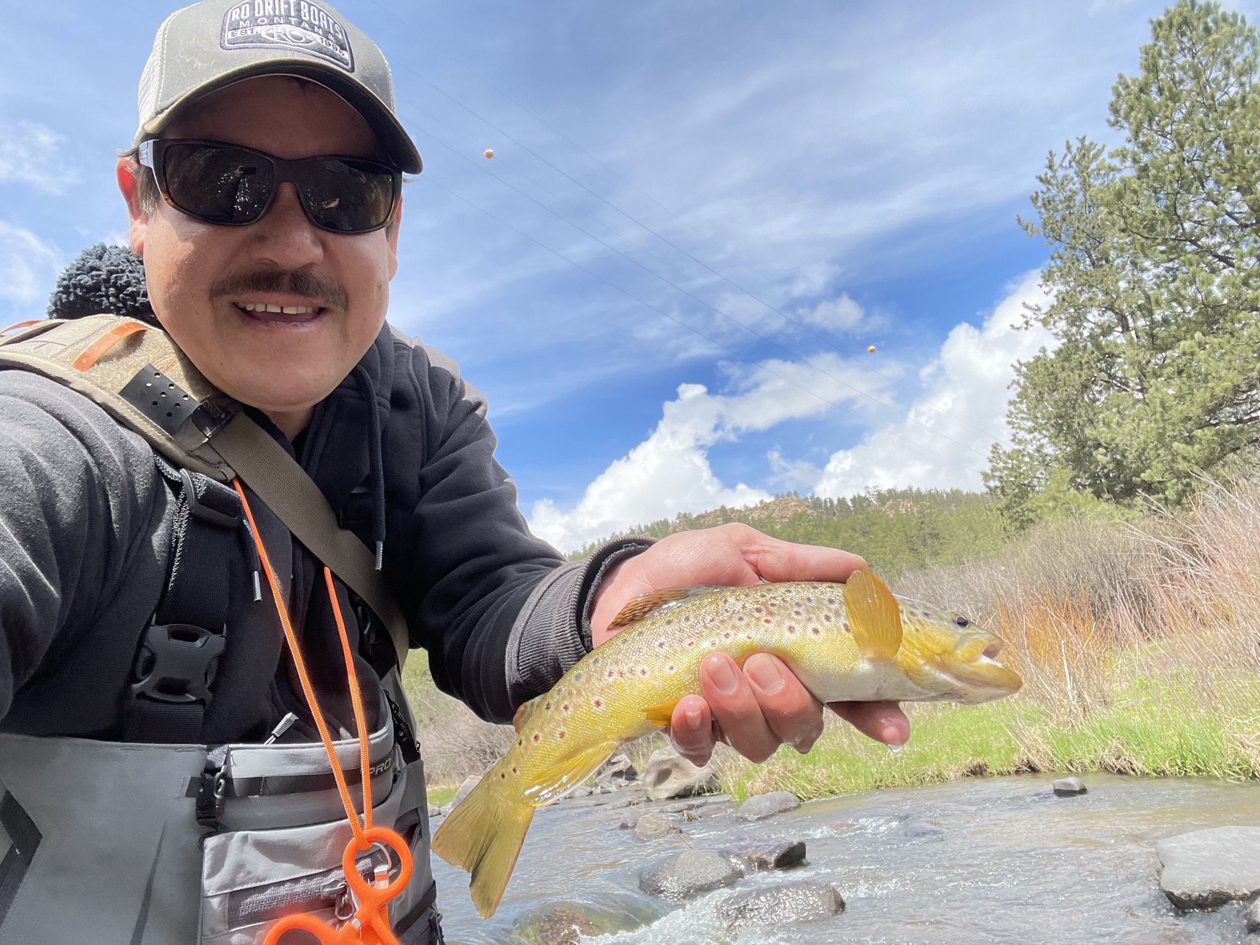 Angler holding a brown trout wading in a  river.