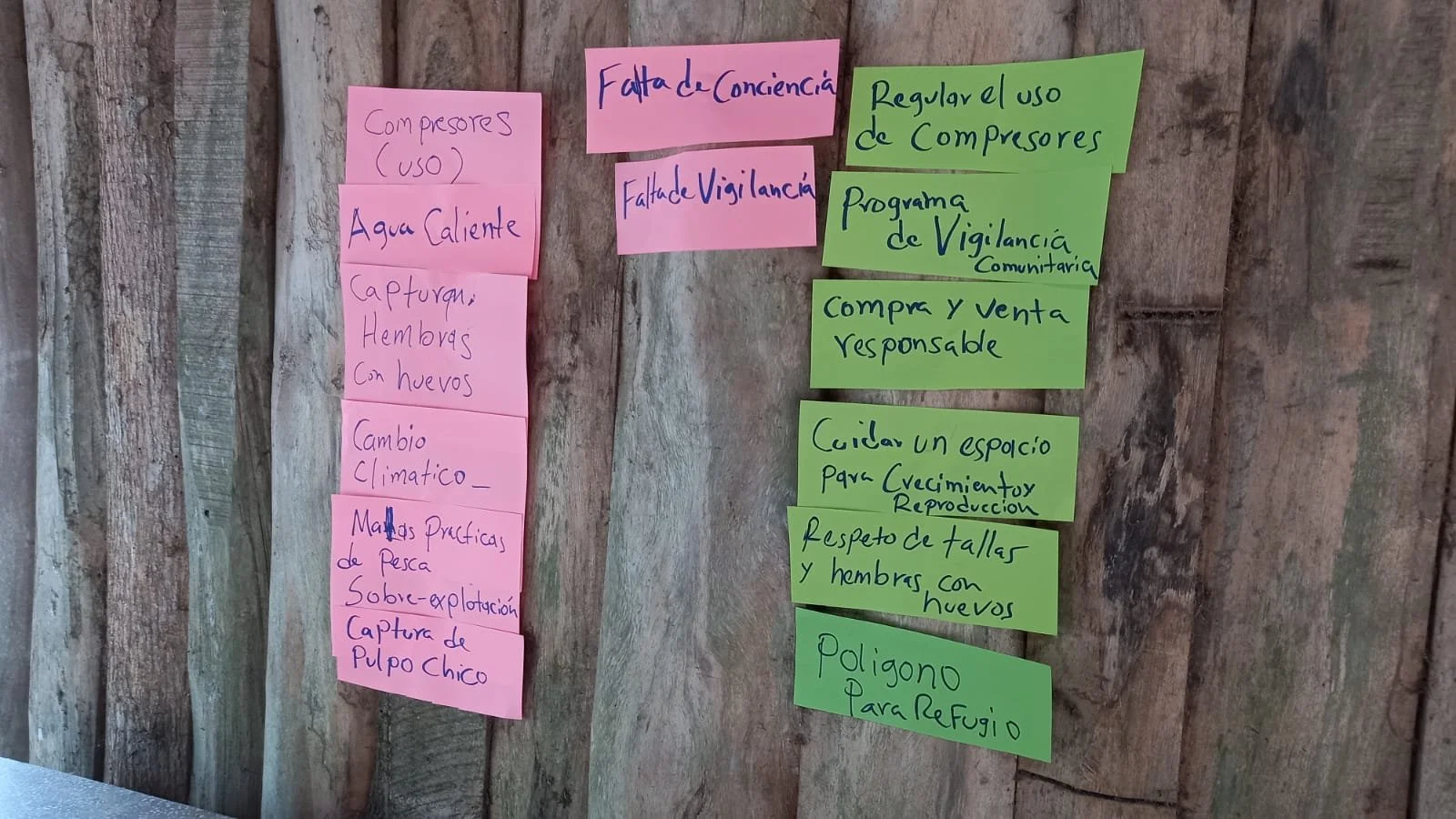 problematicas y posibles soluciones, feb 2024.jpeg