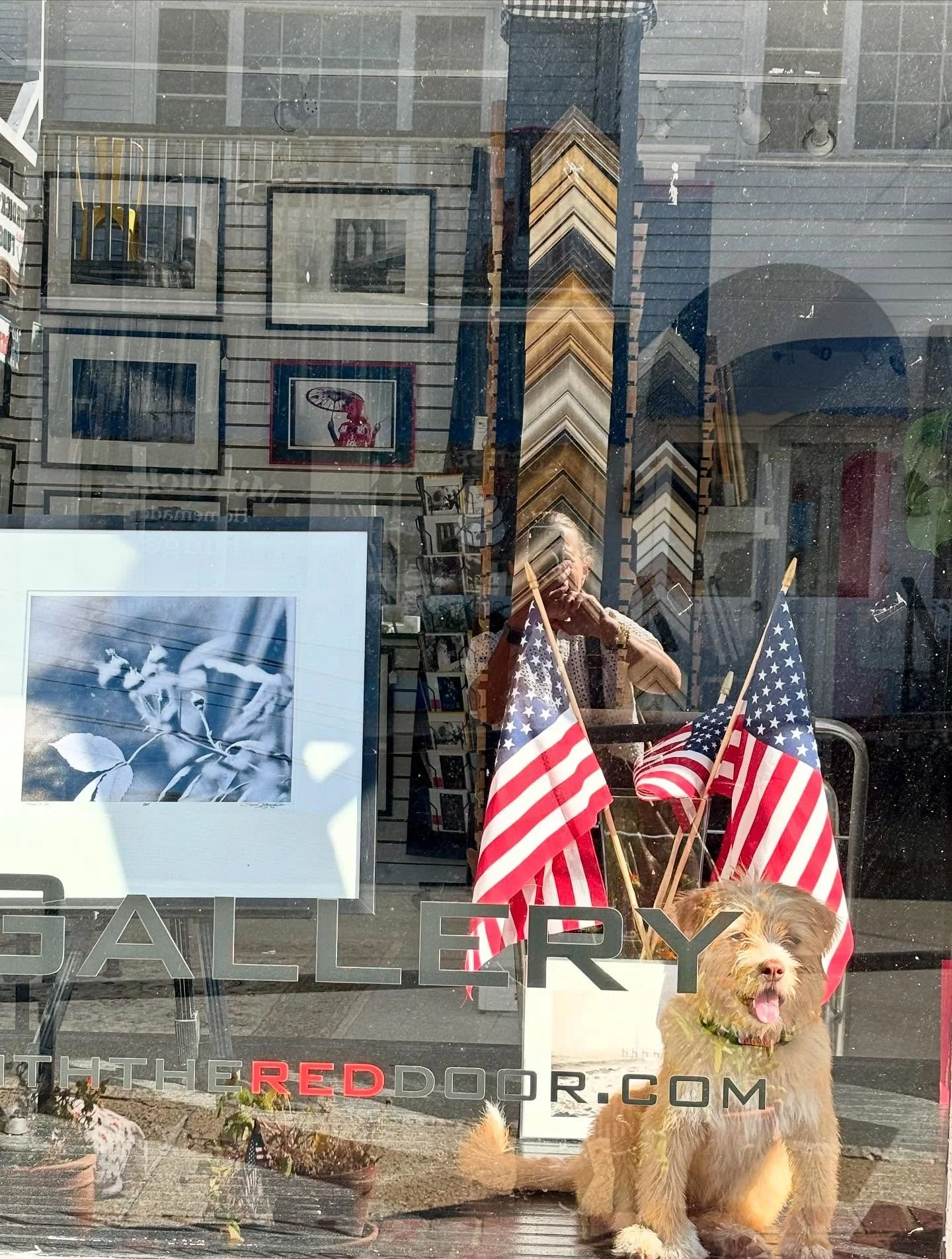 🎶How much is that doggie in the window🎶 

Alexandra is helping out now. #puppylove

Thank you @thegreenroommv 
Photo credit Elaine Barse. 

@visitvineyardhaven  @visitmarthasvineyard
