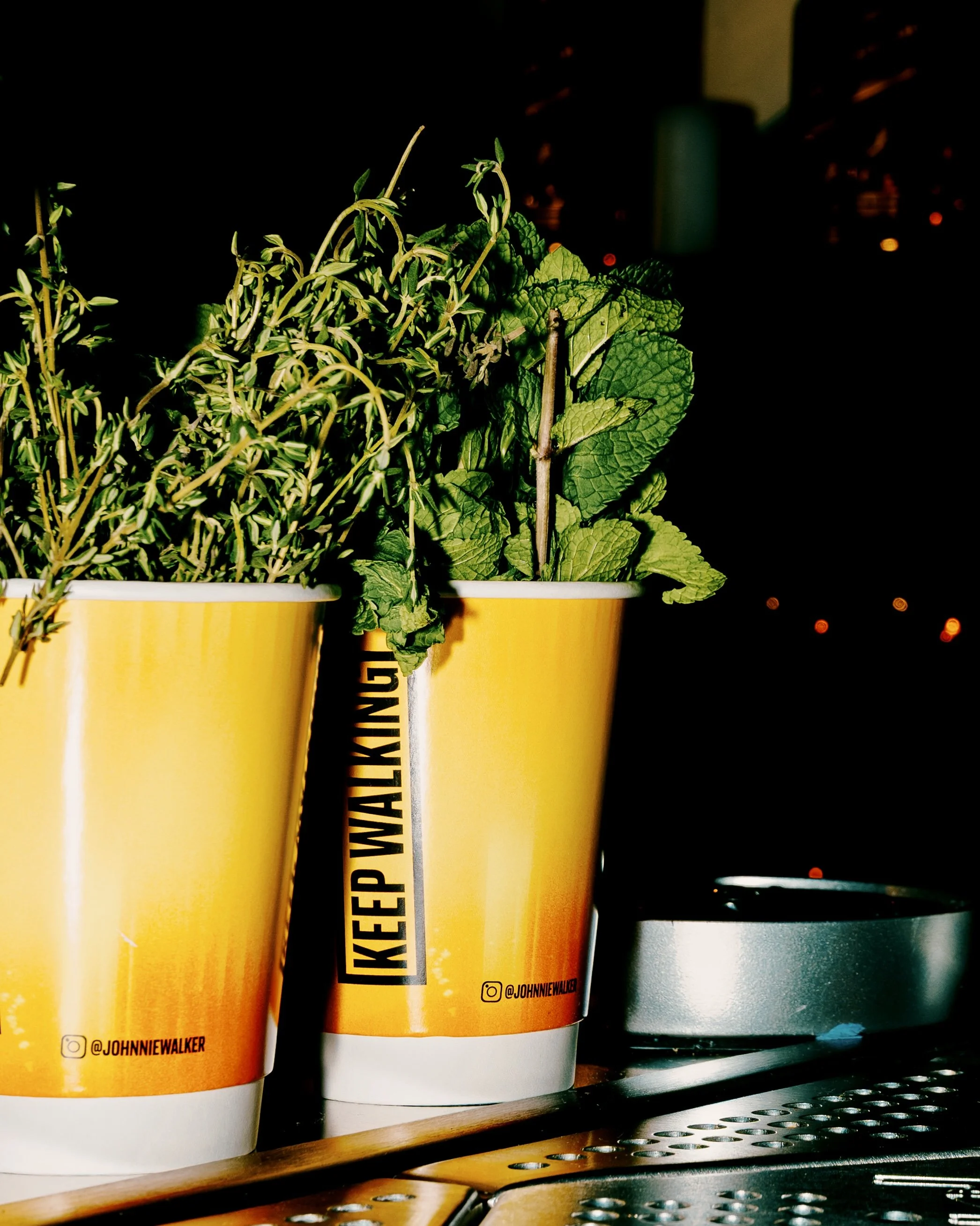 EMSHOOTSBANDS - SOUNDBITE X JW 9.jpg