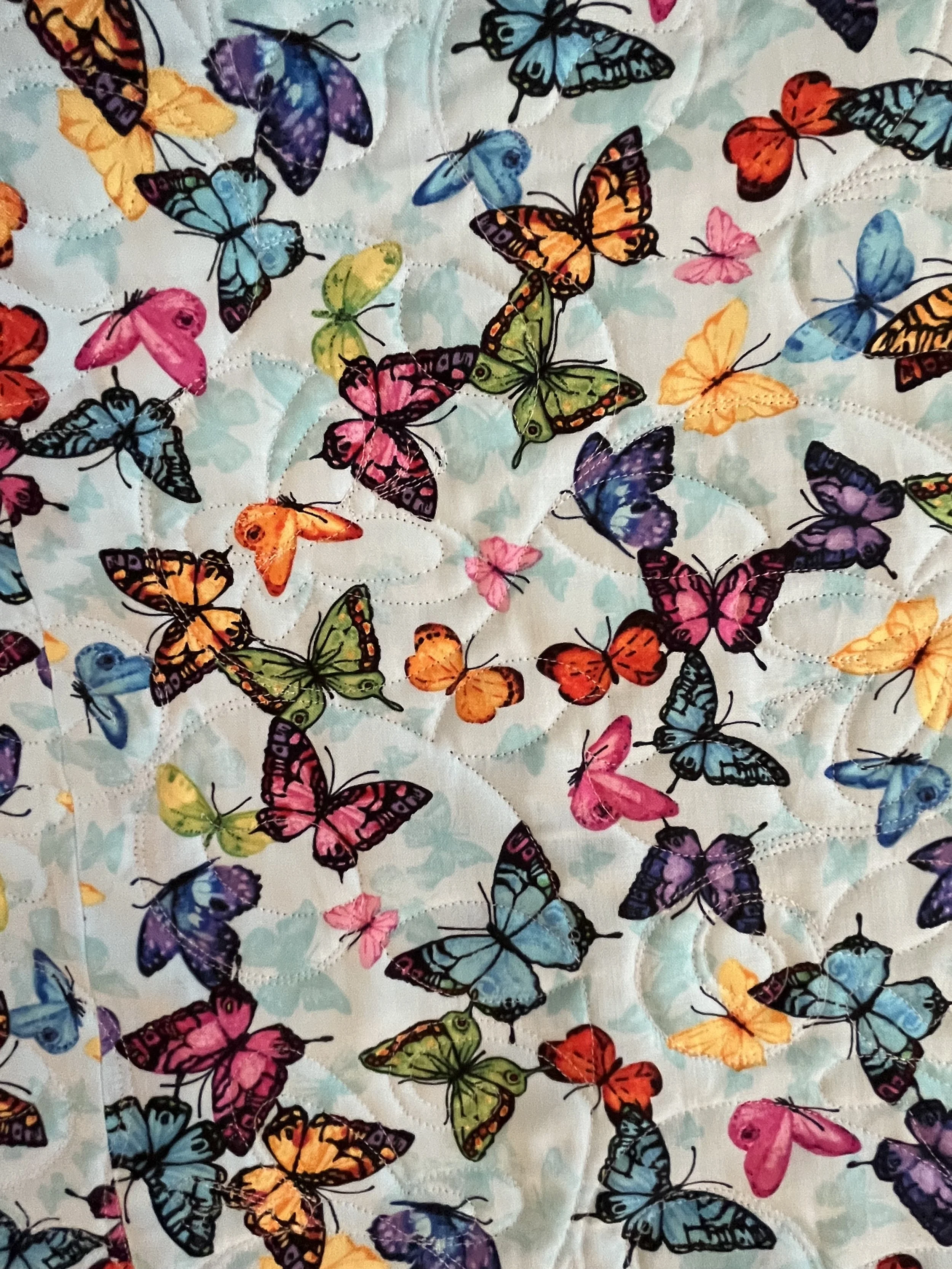 Butterfly 11 (3).JPG