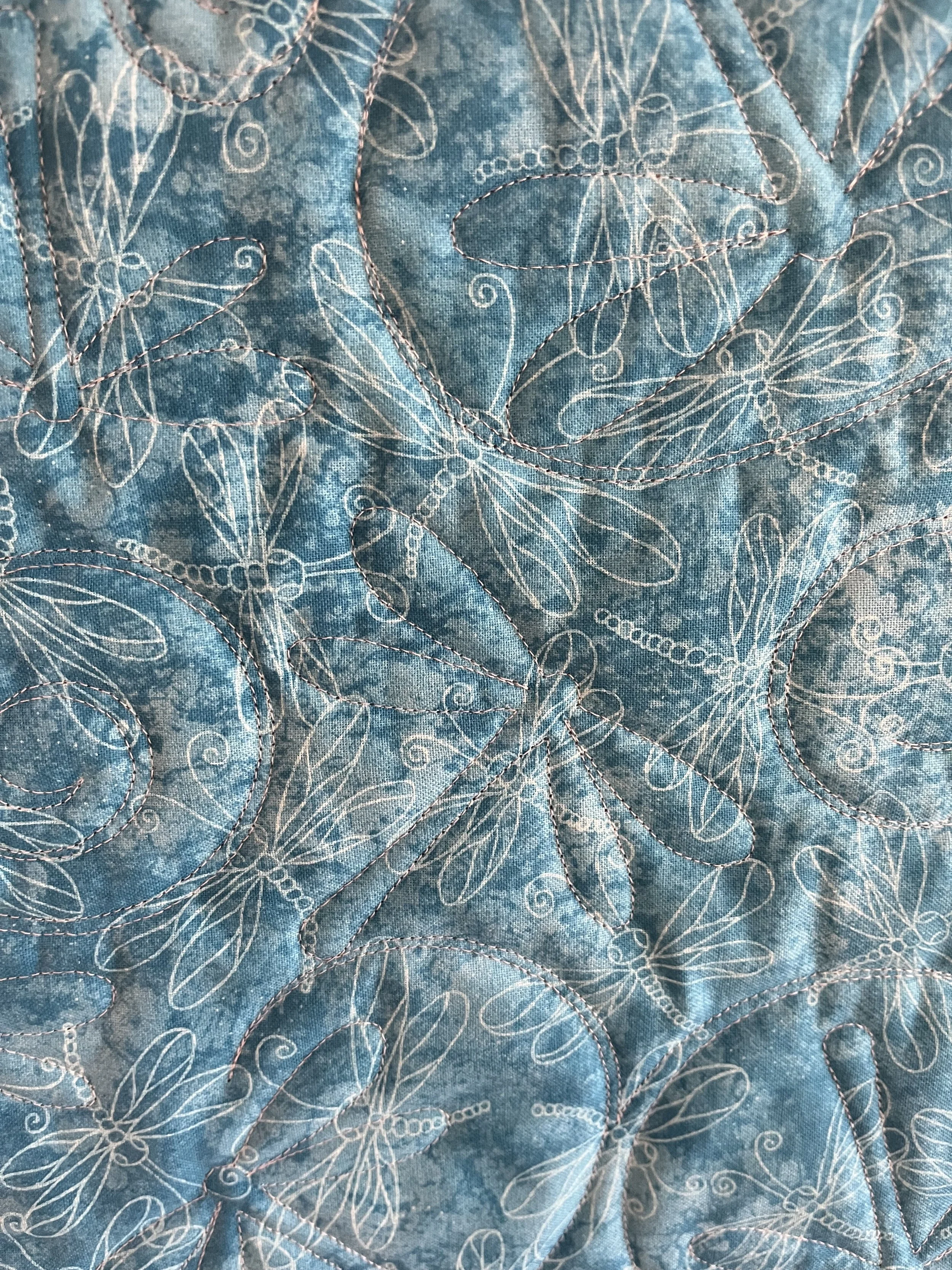 Dragonfly 11 (1).JPG