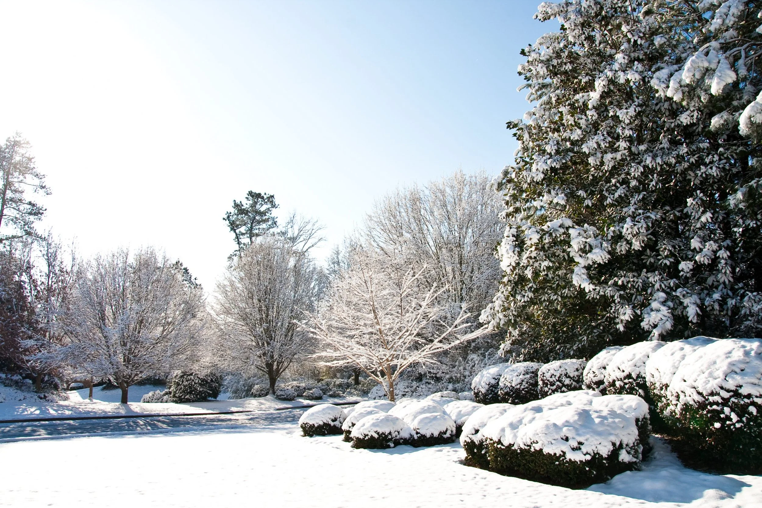 The Surprising Benefits of Snow in the Garden…