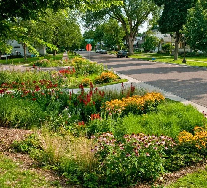 The Beauty of a Well-Designed Rain Garden