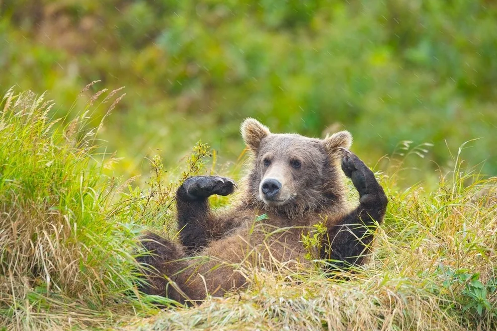 john-slonina-nature-photography-explore-alaska-adventures