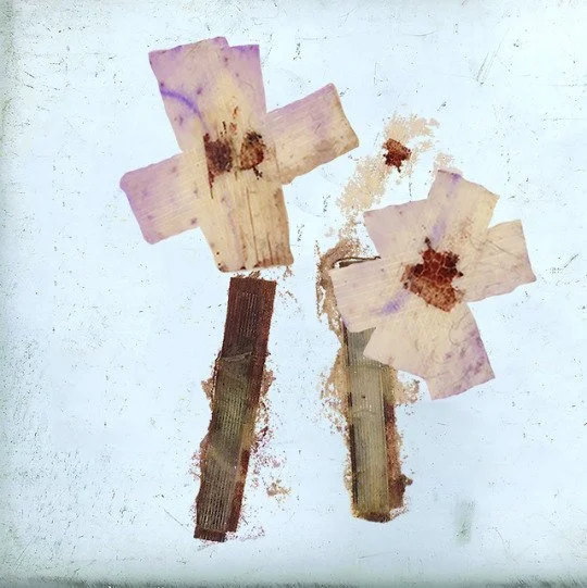 pansies.jpg