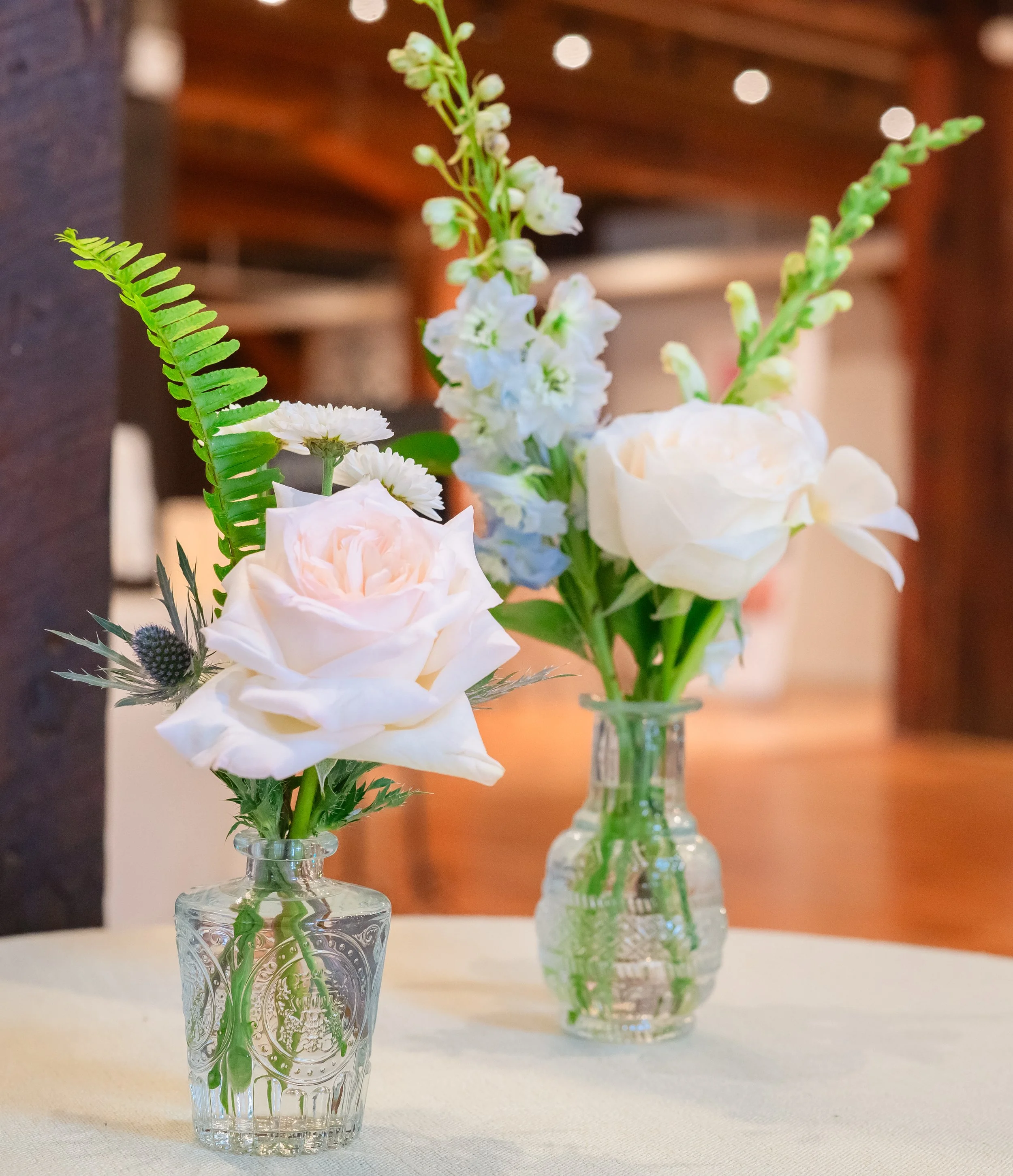 NC1_9480 (1) (1).jpg