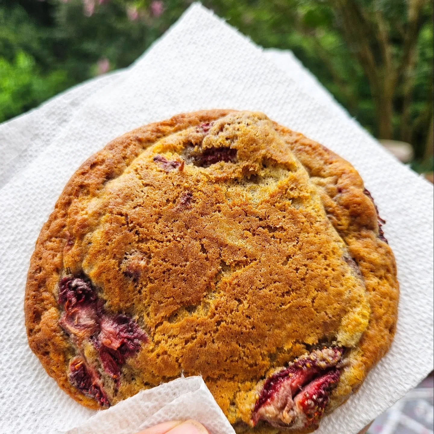 Summer's here.... in cookie form!!!

We're popping up at the Annapolis Landing Community Park this Sunday, 6/29, from 5pm-7pm.  We'll have all of our staples and a few special extras, like these amazing Lemon-Strawberry Cookies!!

Chevys food truck w
