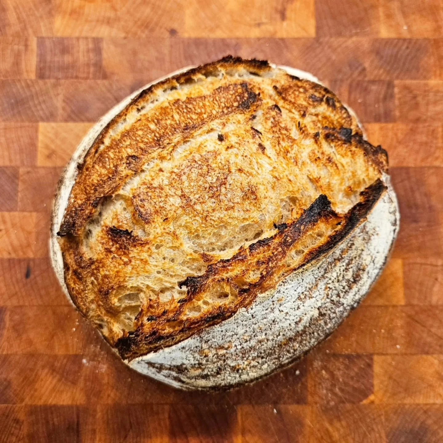 We're back with appreciation!!

15% off all orders this month as a thank you to all who made last year so great!

Check out eatgratefull.com for menu and to place orders. Discount applied automatically at checkout.

And stay tuned for weekly specials