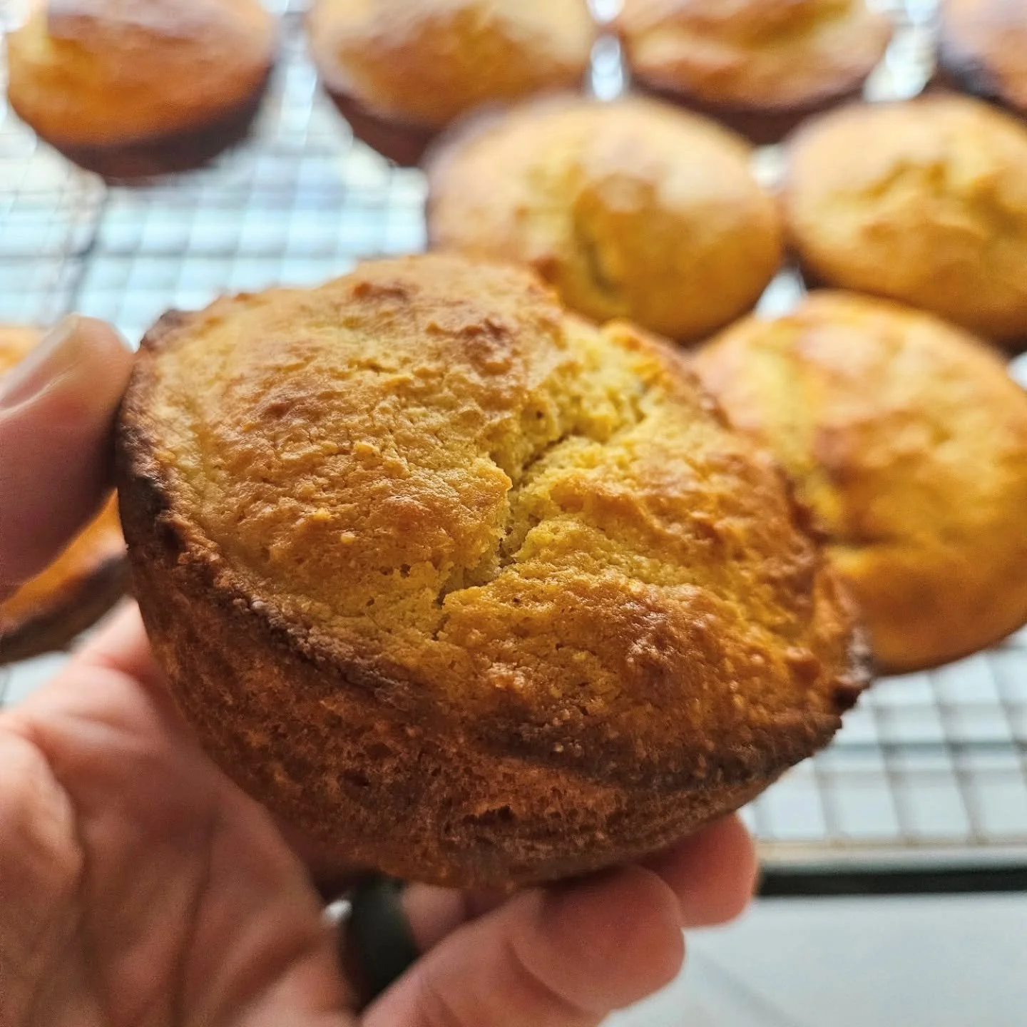 GET YOUR HONEY BUTTER READY!!

Cornbread muffins are this week's special. Moist and buttery inside, crispy on the outside, what more could you want??

4 packs available at eatgratefull.com orders in by noon on Friday. We hope to be baking for you soo