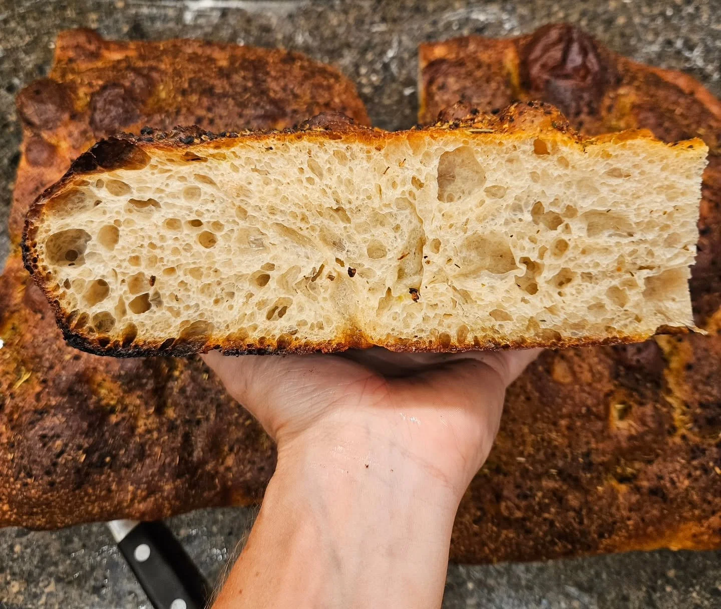 Foh-Catch-Ya: 
Bread from Europe's boot. Crispy edges, soft, fluffy interior, incredibly versatile.  From sandwiches to croutons, crostini to just tearing in with your teeth, this one will always leave you happy. 

Try this week at eatgratefull.com

