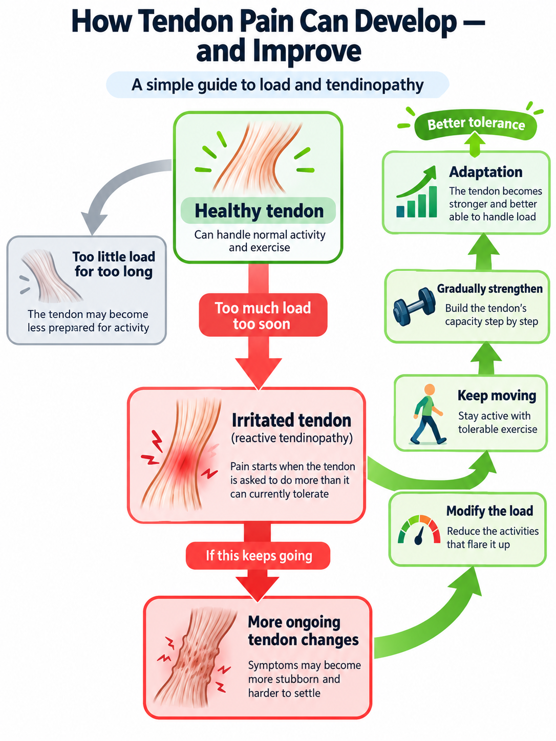 What Happens When You Have Tendinopathy?