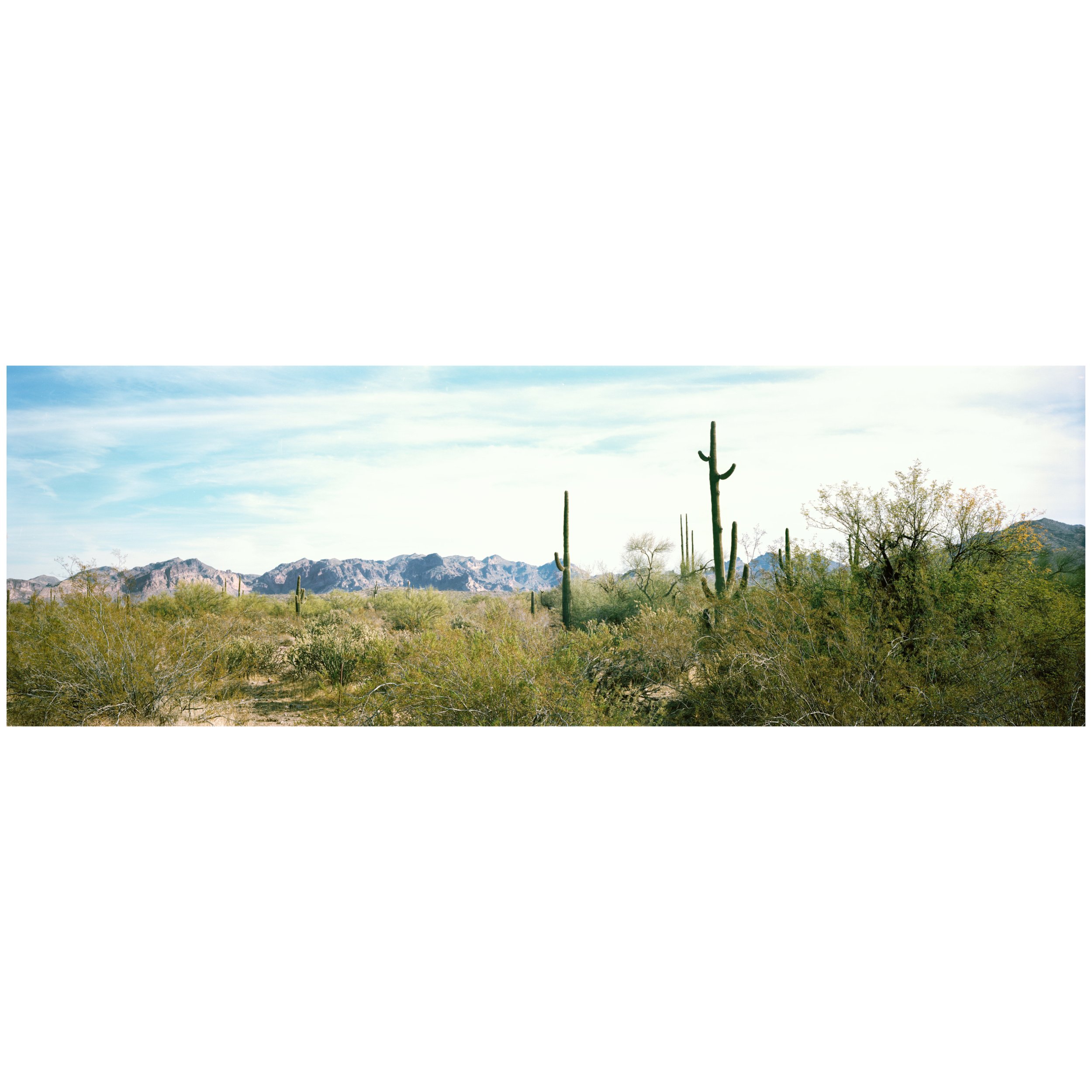 Goldfield Mountains Print