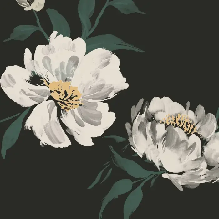 Two white flowers with yellow and black centers, surrounded by dark green leaves on a black background.