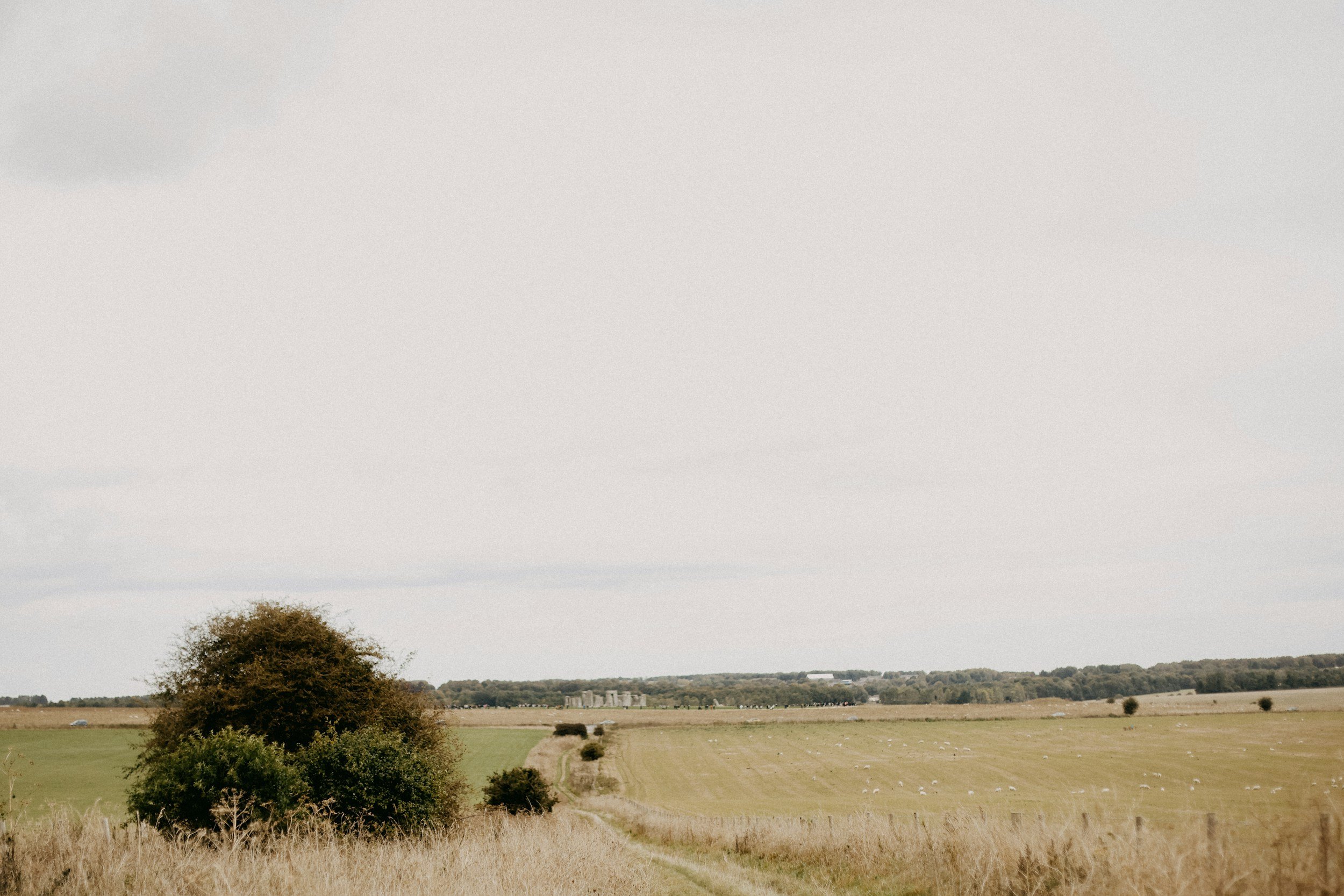 wiltshire rolling hills