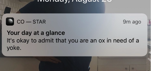 Screen Shot 2024-11-06 at 1.57.26 PM.png