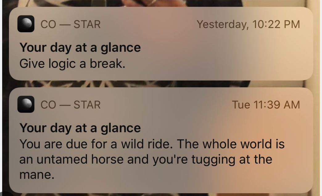 Screen Shot 2024-11-06 at 1.55.25 PM.png