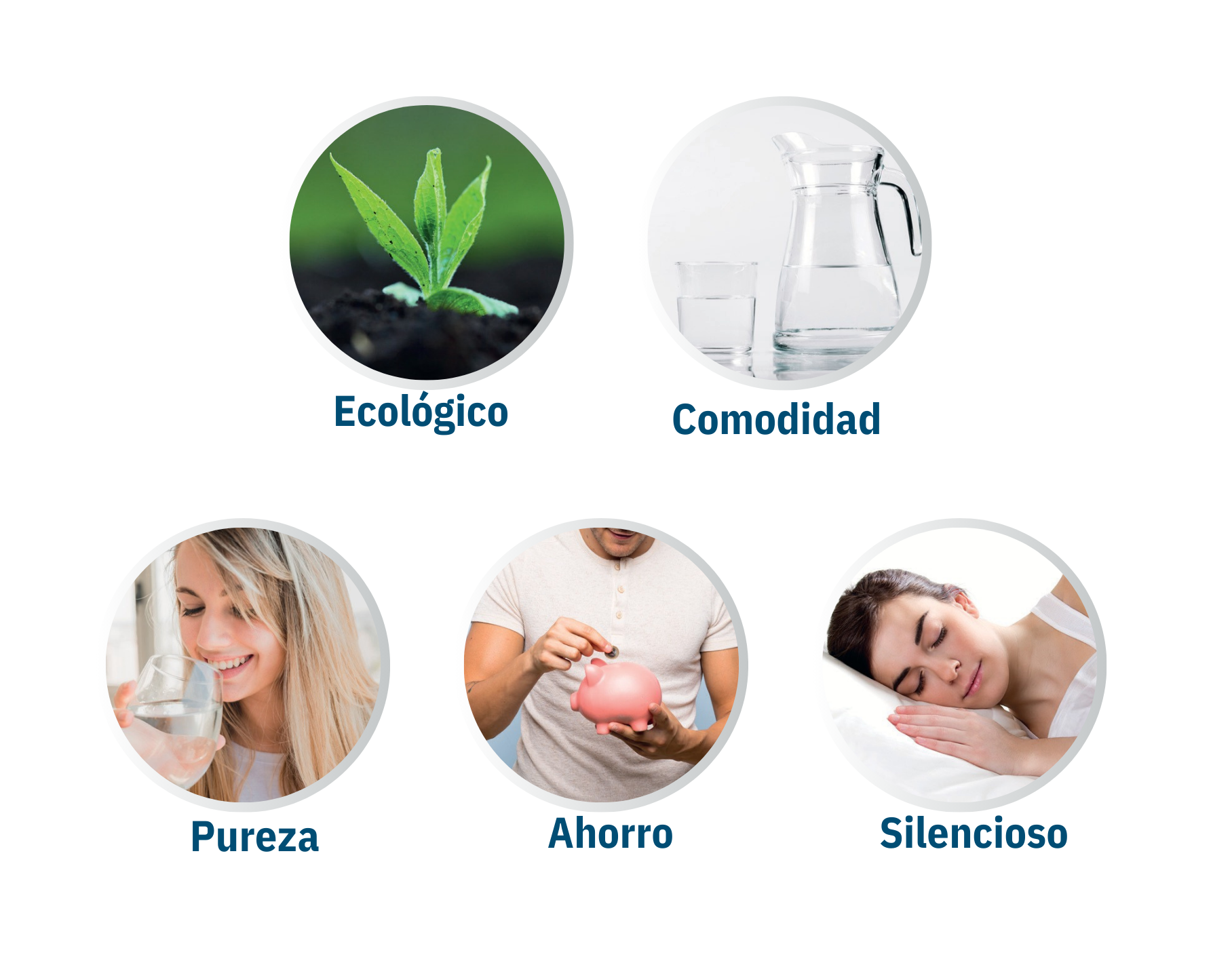 Osmosis Estandard 3.png