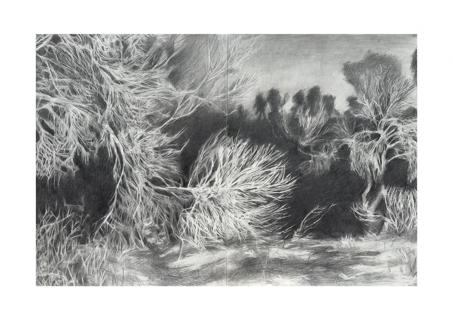 something about arizona at night is so beautiful to me. the graphite was definitely a test of patience but it has such a magical quality. 

diptych, 24 by 36 inches, graphite on papers

#drawing #landscape #graphite #landscapedrawing #contemporaryart