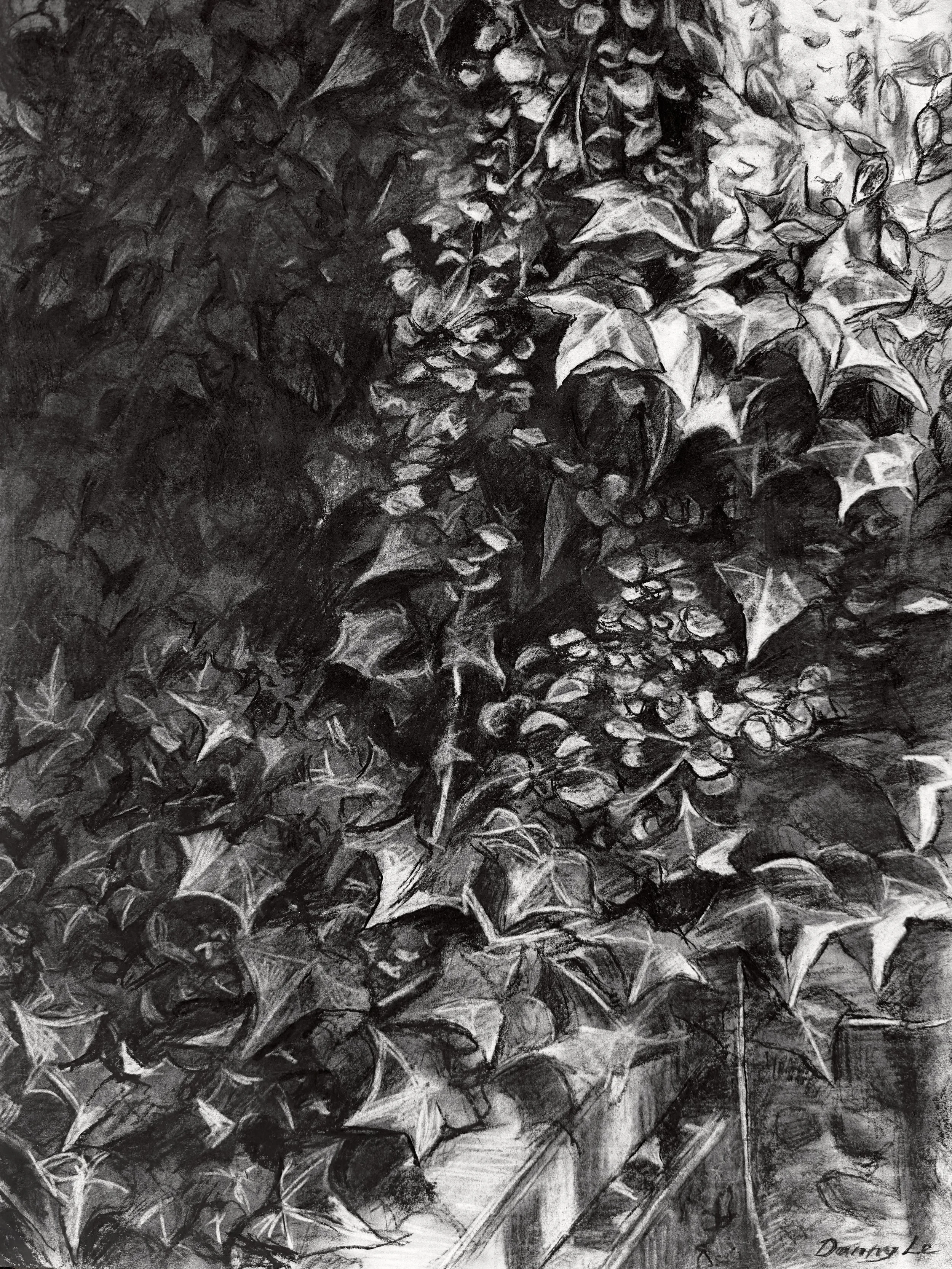 Shadows, Charcoal on Paper, 24 by 18 inches.