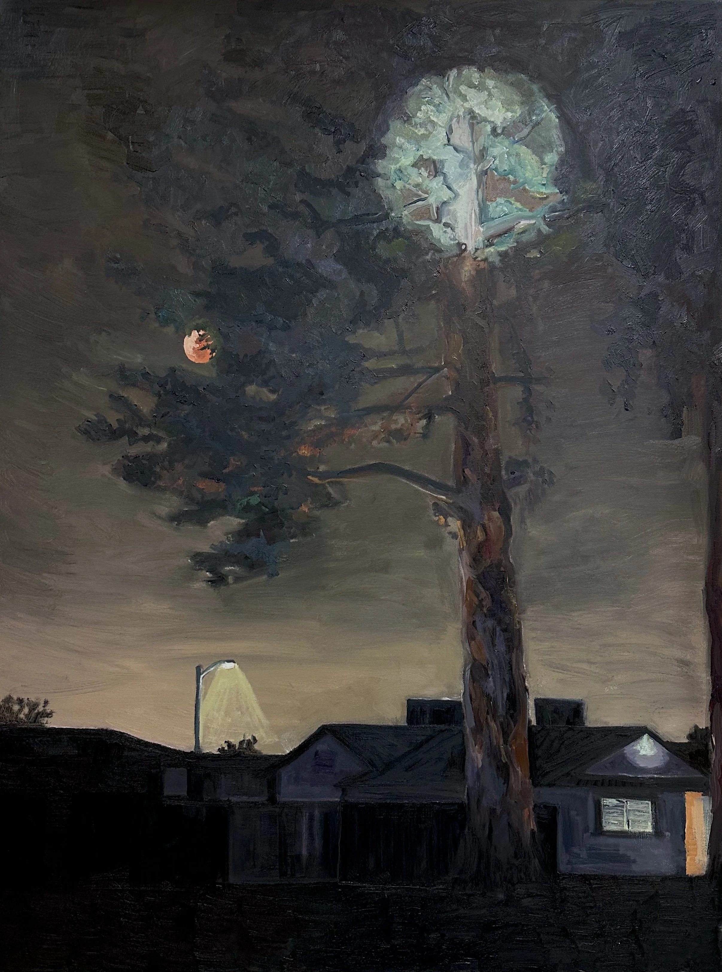 Midnight Walk, Oil on Canvas, 48 by 36 inches. 