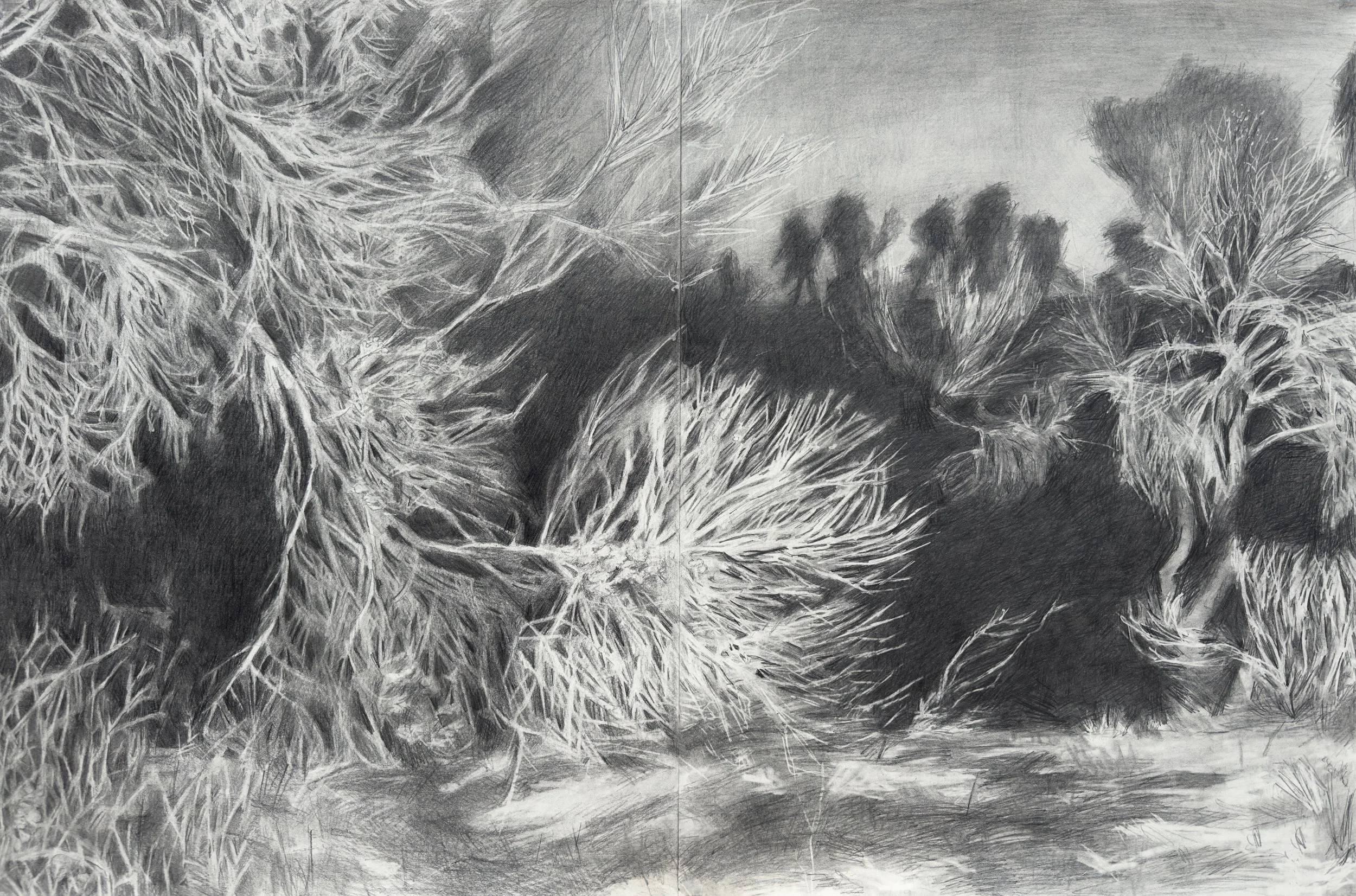Infinite Power, Graphite on Paper, 24 by 36 inches.