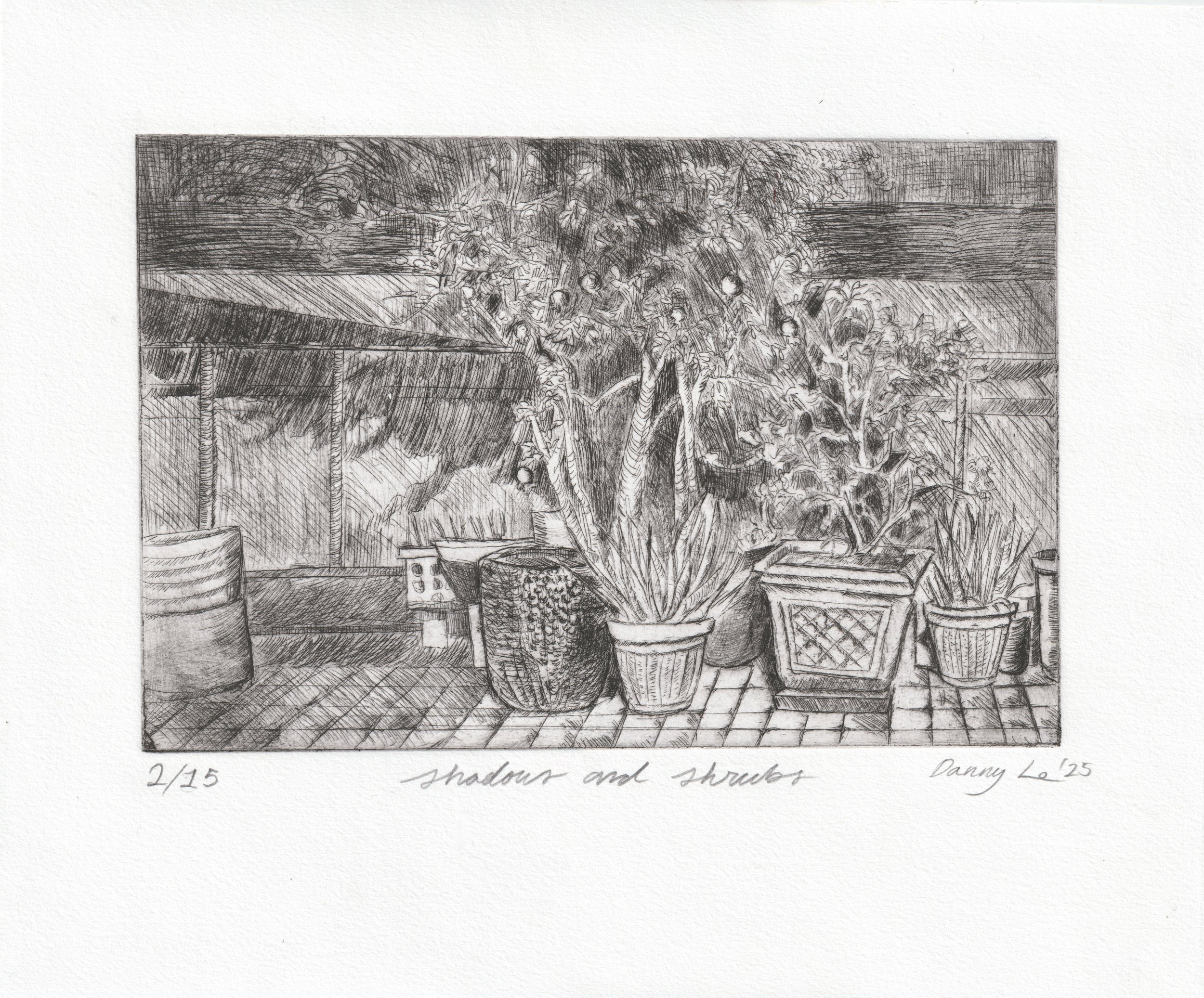 Shrubs and Shadows, Line etch and Drypoint on Paper.