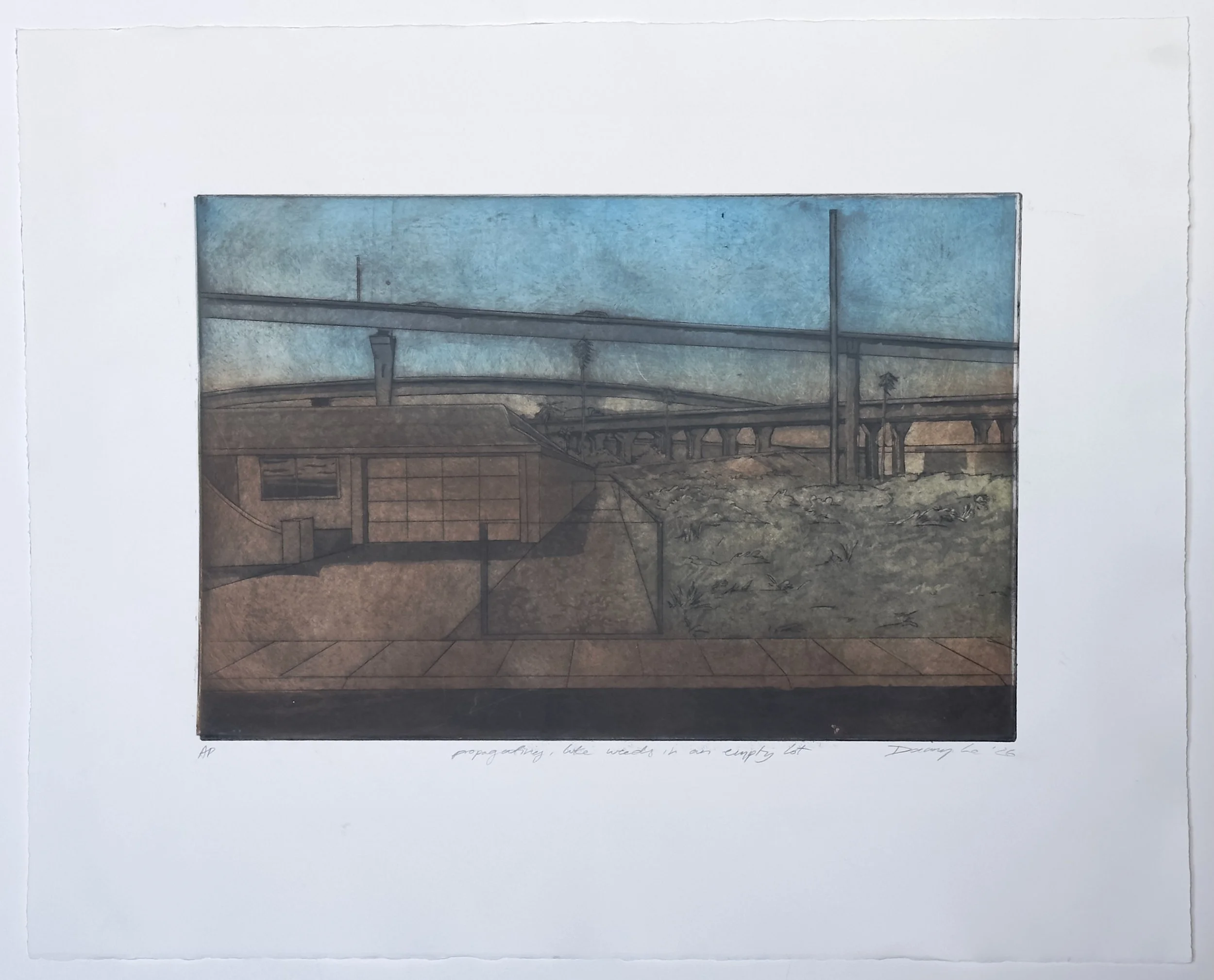 Propagating, like Weeds in an Empty Lot, Line Etch and Aquatint on Paper, 20 by 25 inches.