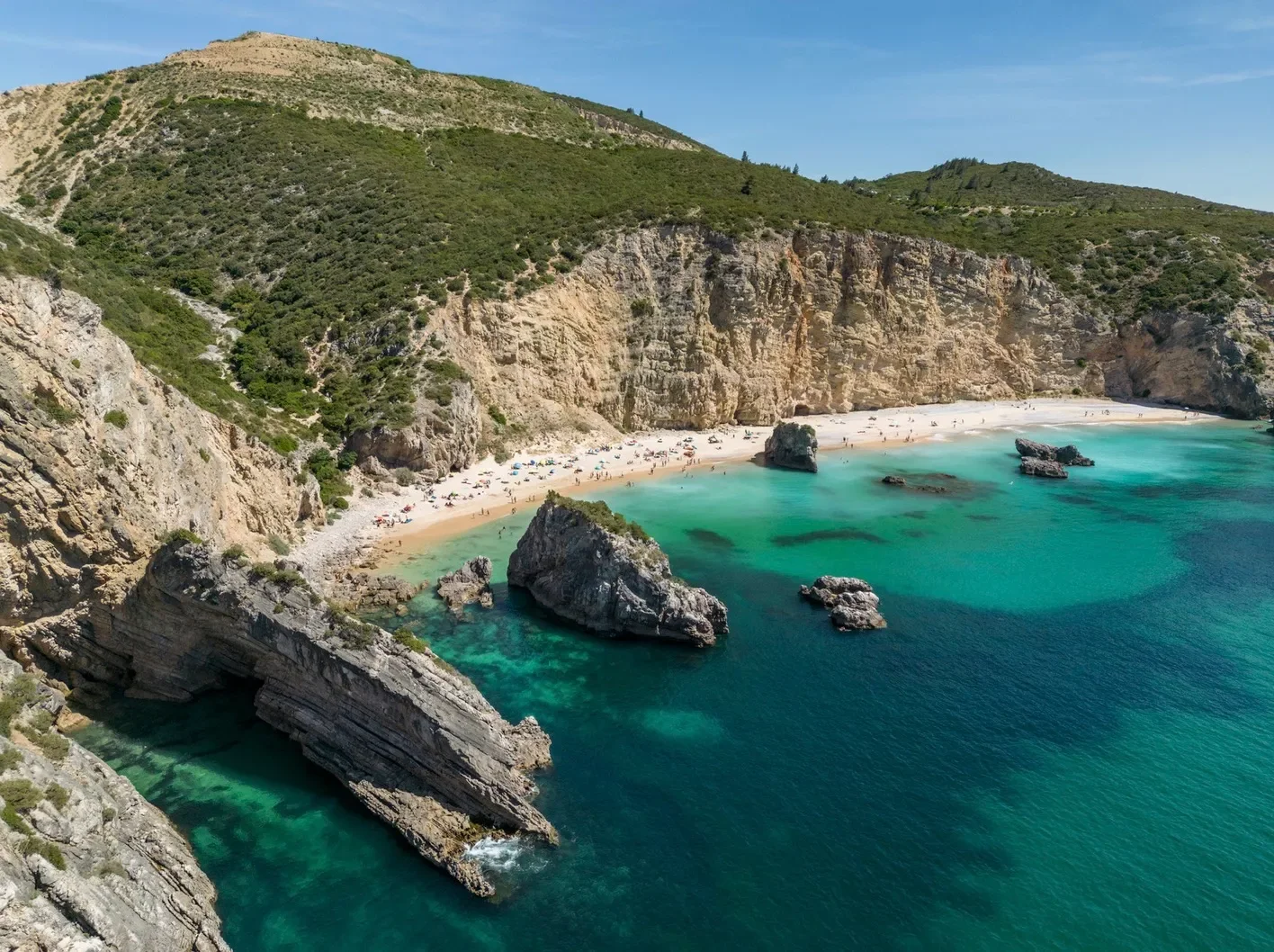 cavalo-beach-praia.webp
