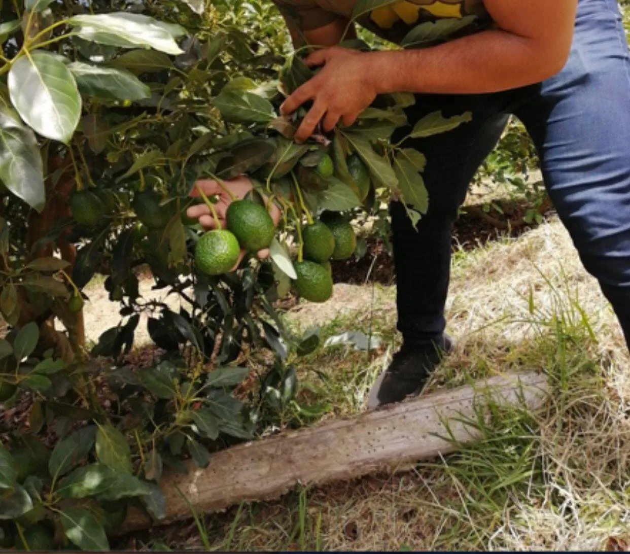 WhatsApp Image 2024-03-17 at 7.29.30 PM (1).jpeg