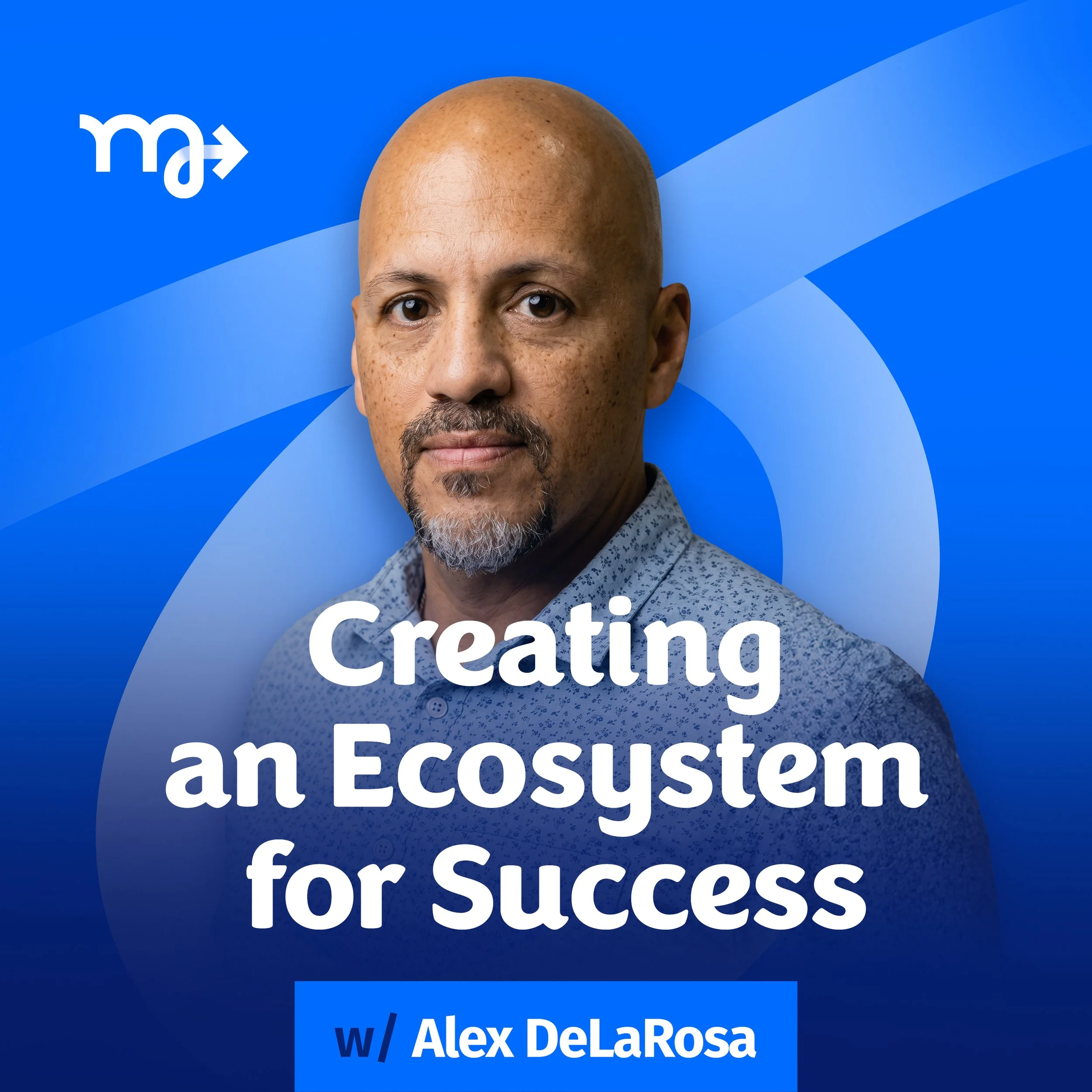 Creating an Ecosystem for Success